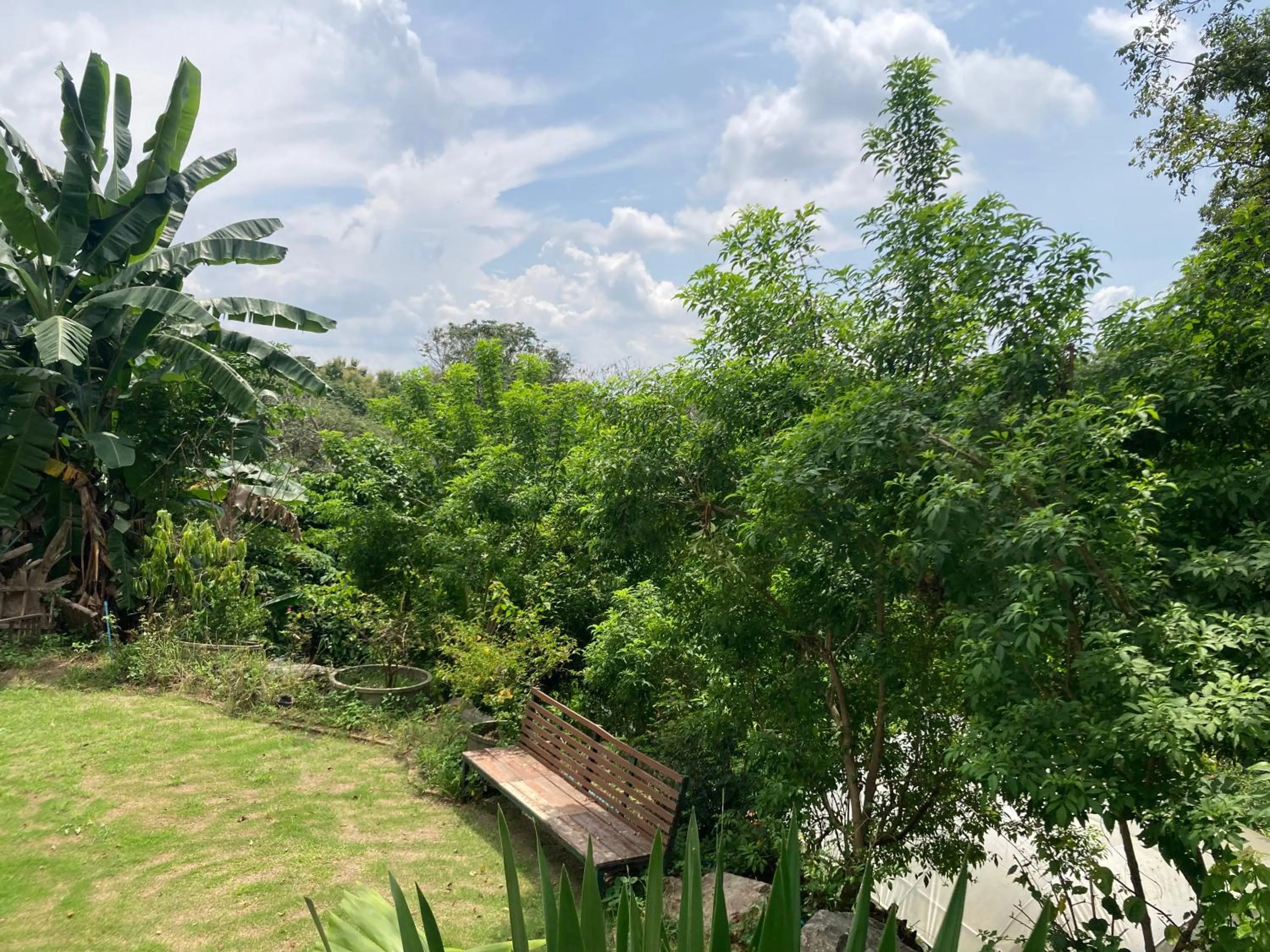 View (from property/room) in Maesa Greenery Hill SHA