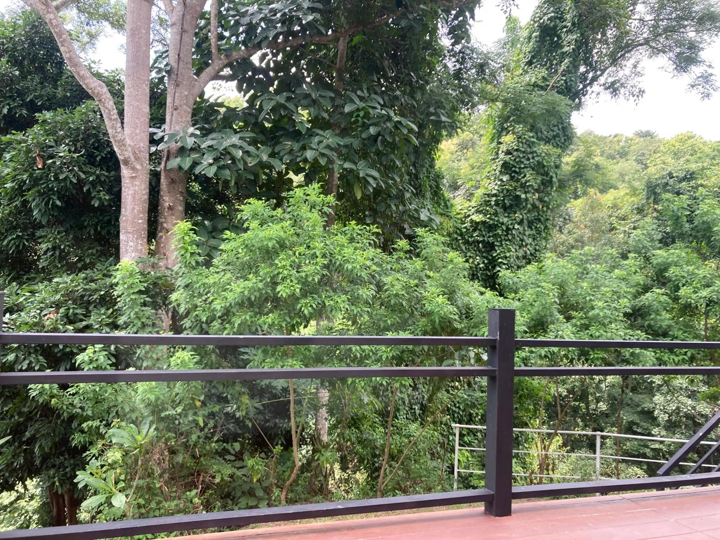 Natural landscape in Maesa Greenery Hill SHA