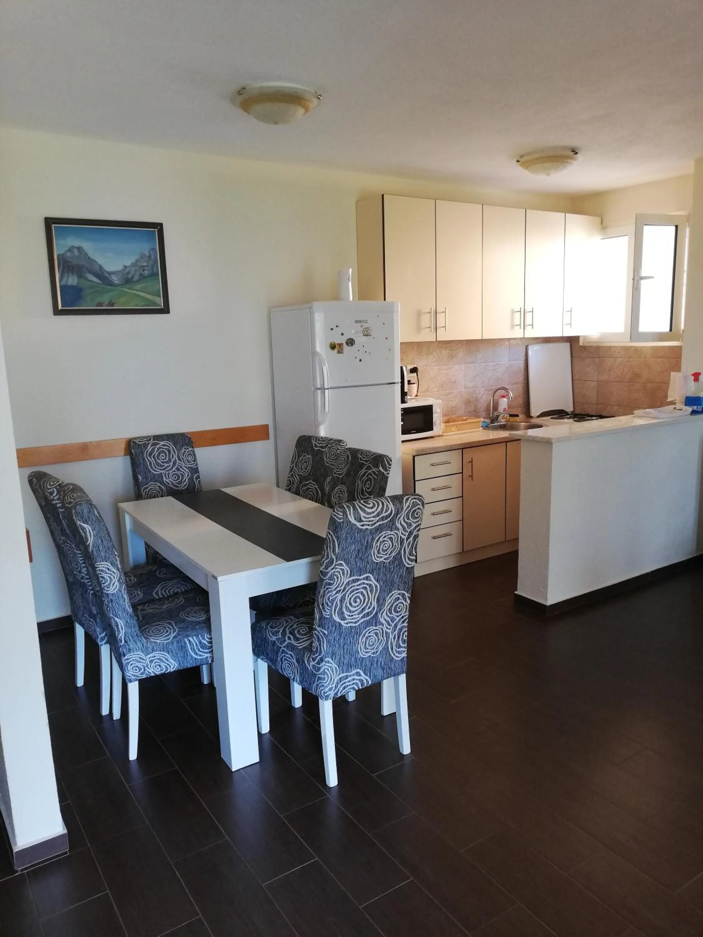 Kitchen or kitchenette in Ruža Apartments Sea View