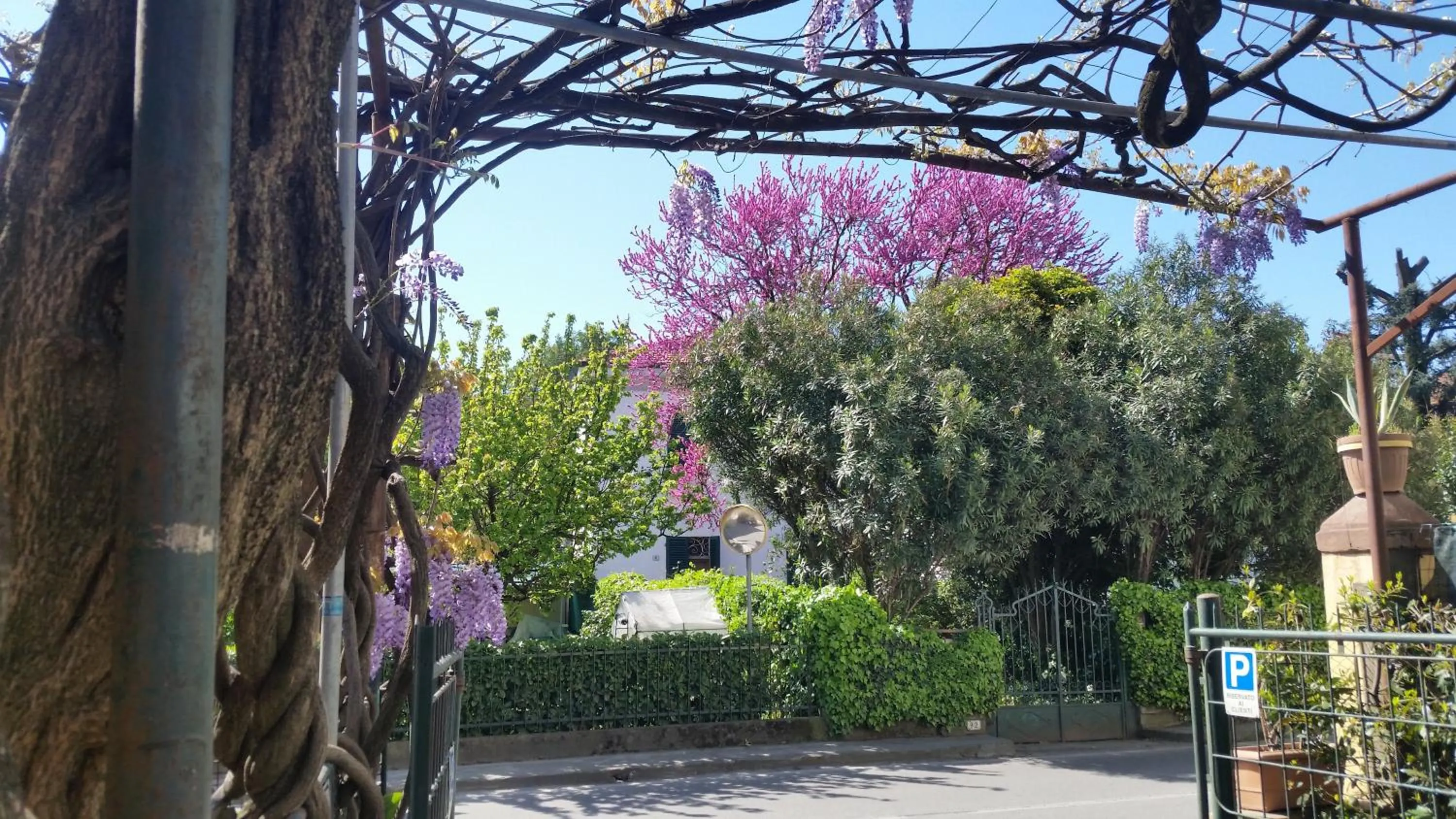 Facade/entrance in Hotel Stipino