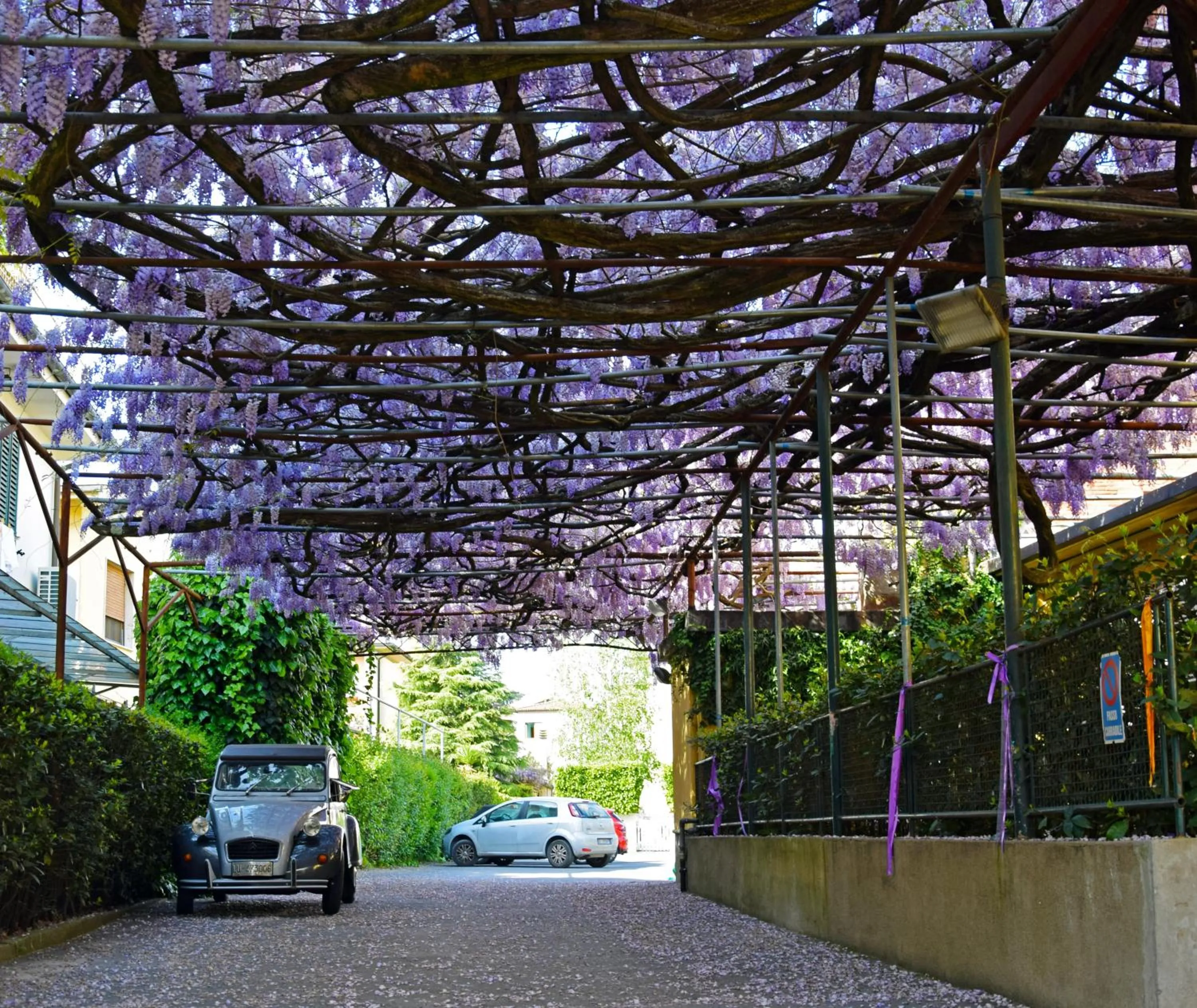 Area and facilities in Hotel Stipino