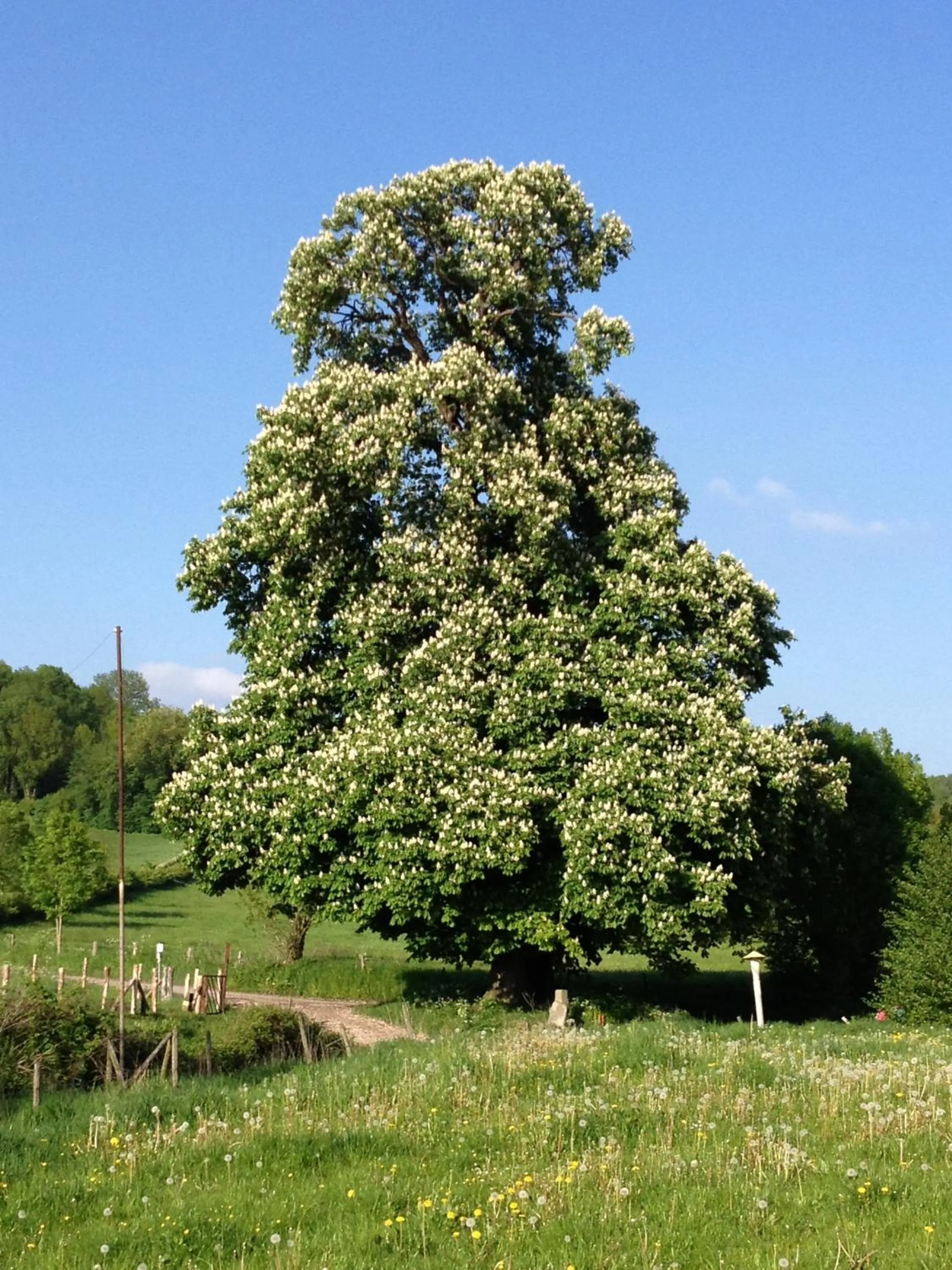 Natural landscape in B&B Bij Tante Toos