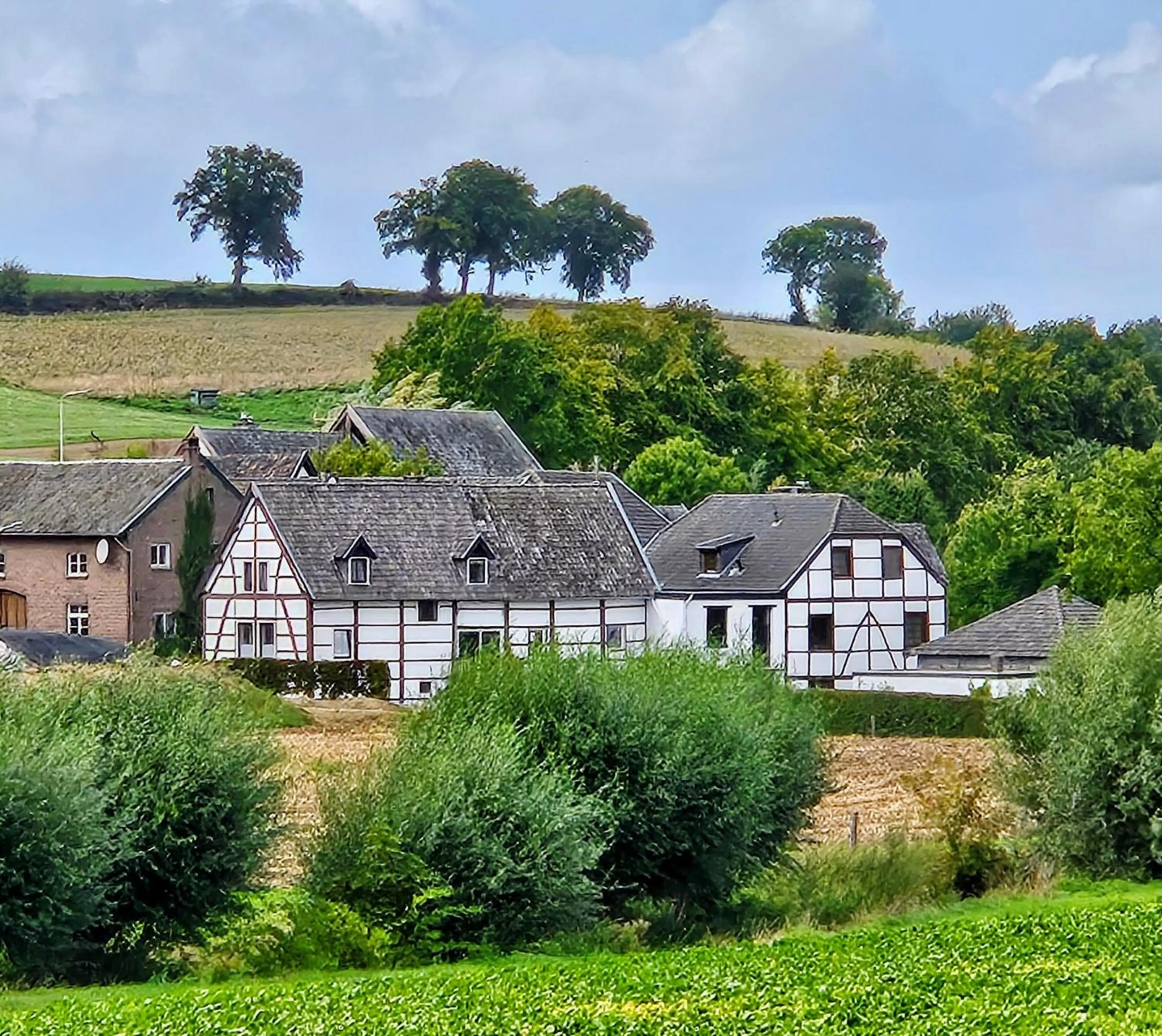 B&B Bij Tante Toos