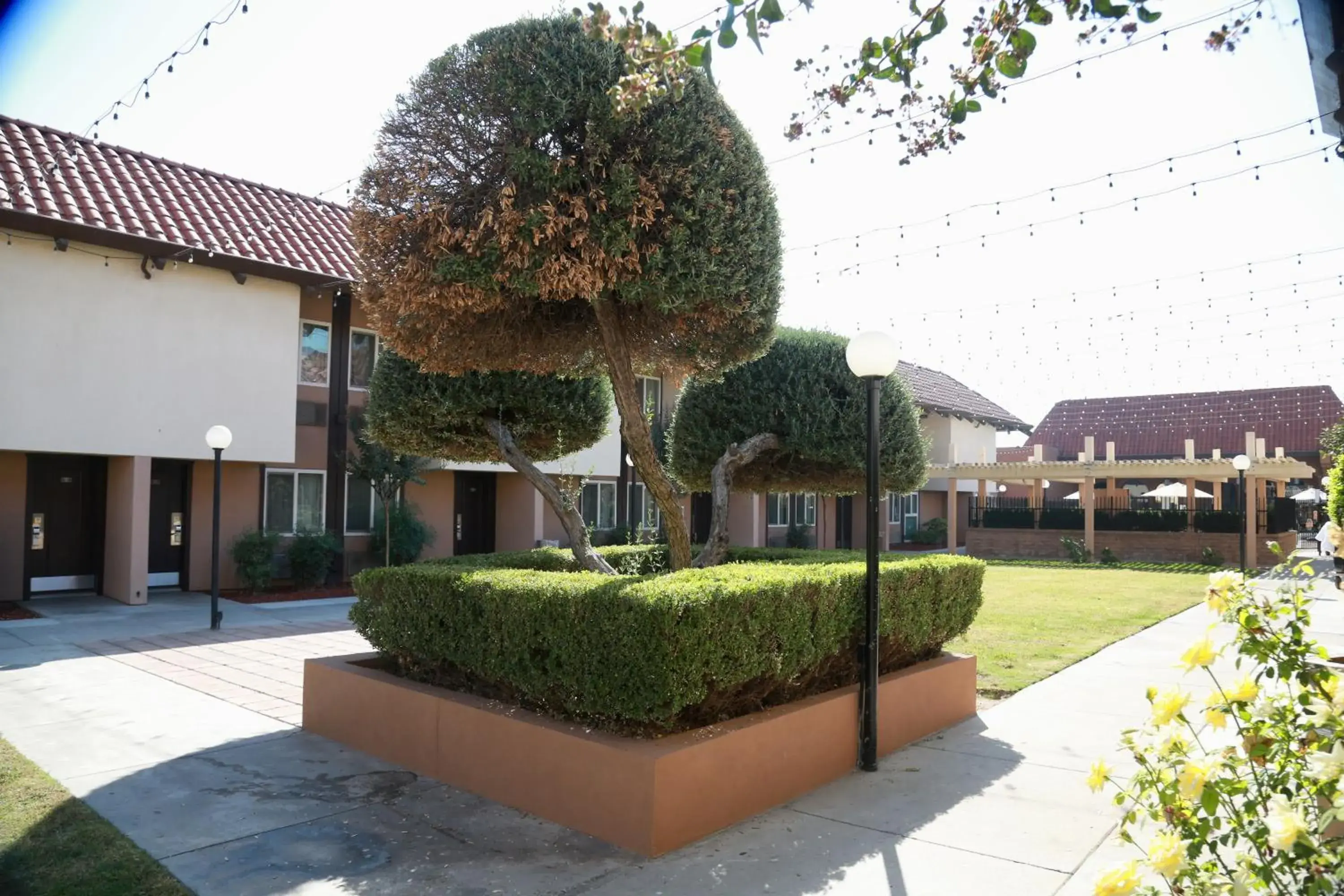 Property building in Ramada by Wyndham Fresno North Property building in Ramada by Wyndham Fresno North