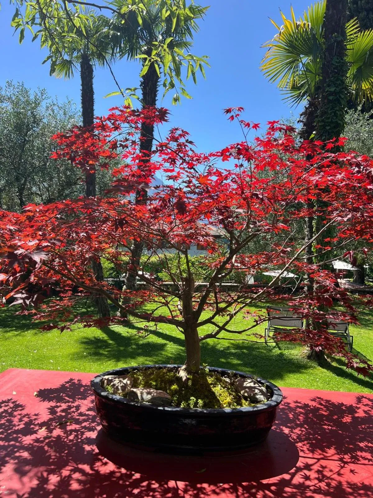 Day in Villa Miravalle