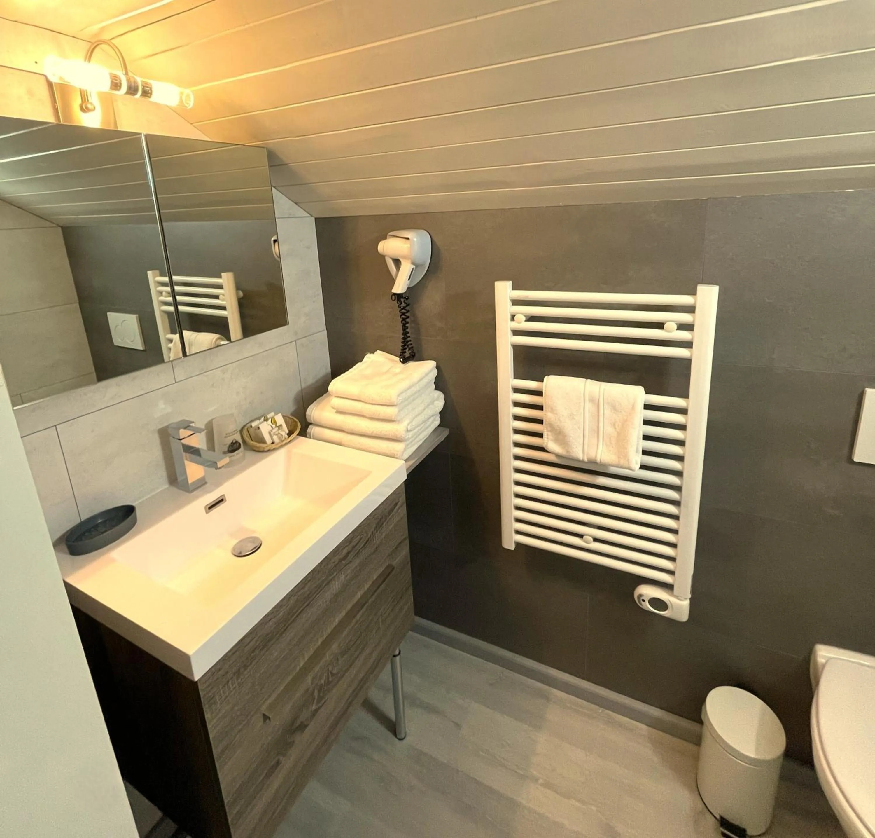 Bathroom in Logis Hotel & Spa Beau-Site