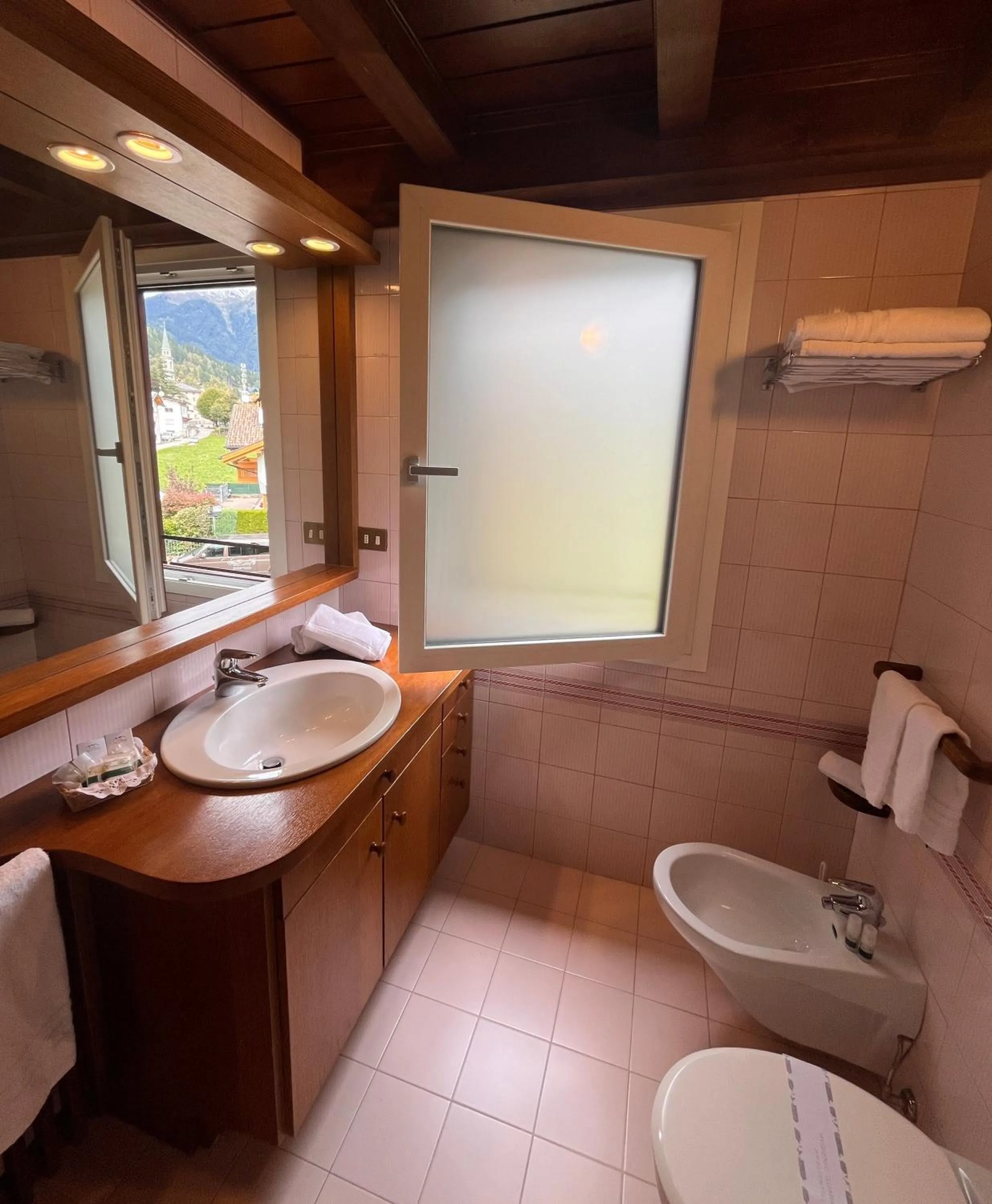 Bathroom in Centro Pineta Family Hotel & Wellness