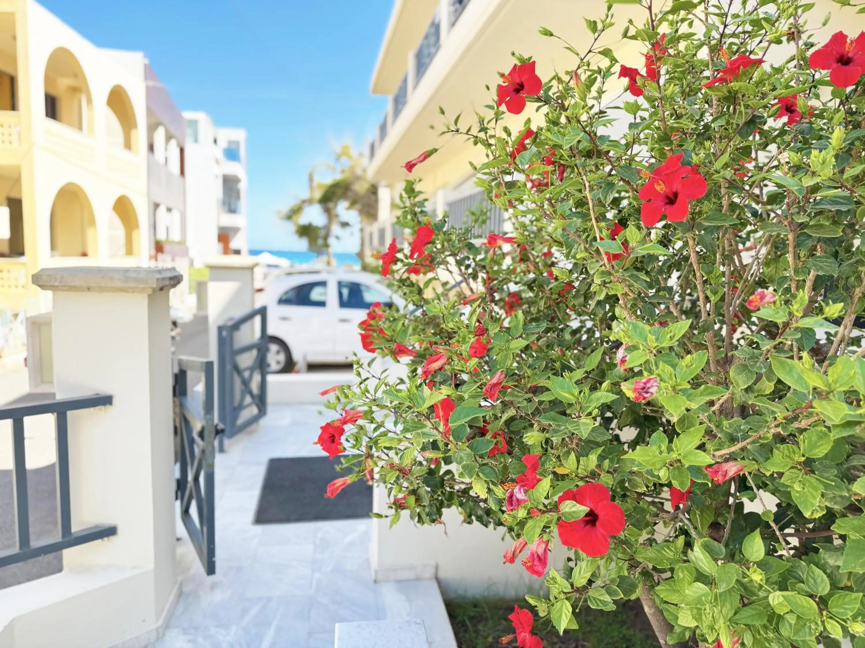 Property building in Melitti Hotel