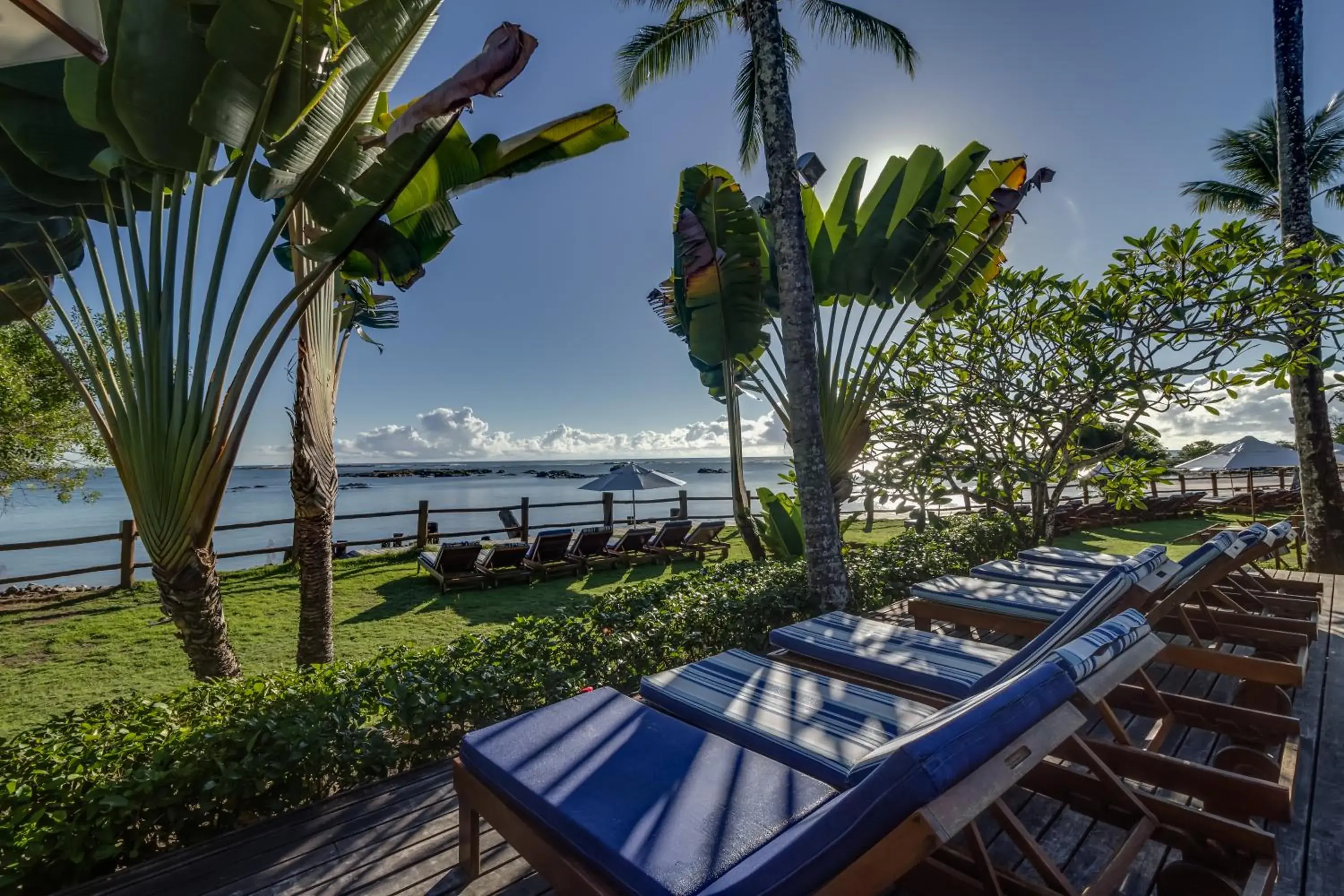Garden view in Villa dos Corais Garden view in Villa dos Corais