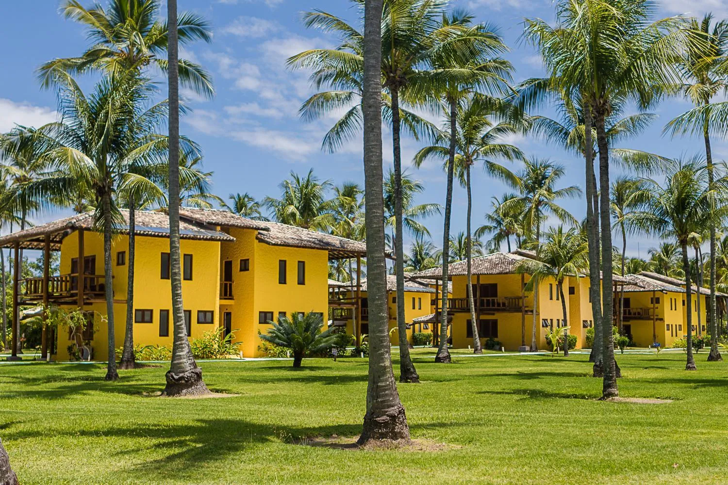Garden view in Villa dos Corais