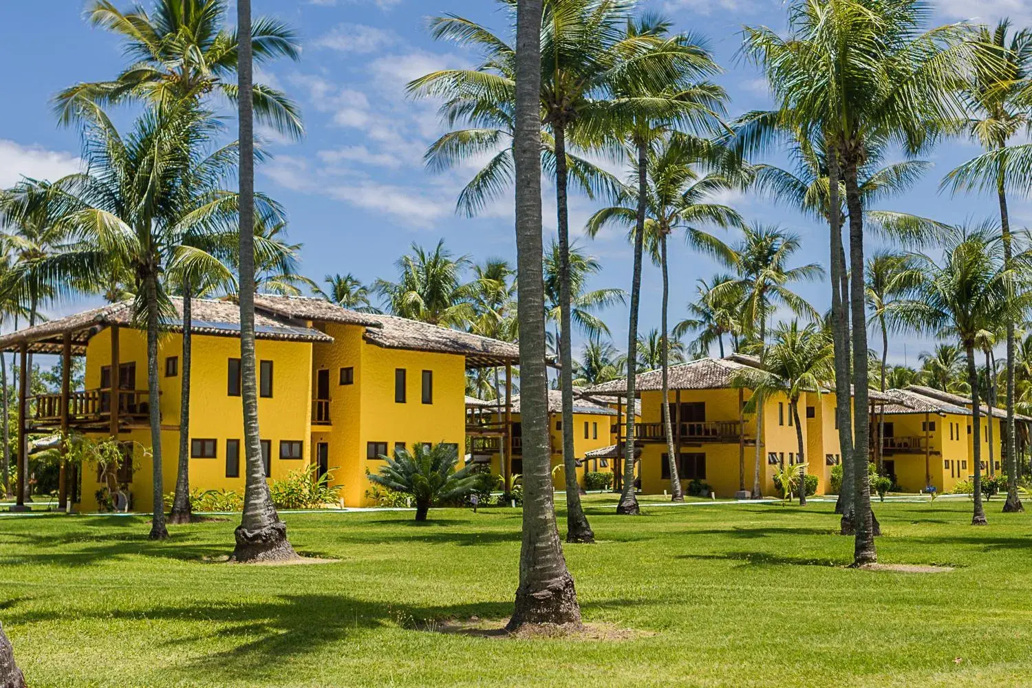 Garden view in Villa dos Corais Garden view in Villa dos Corais