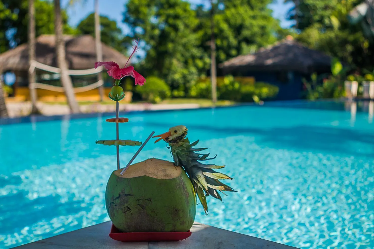 Swimming pool in Villa dos Corais