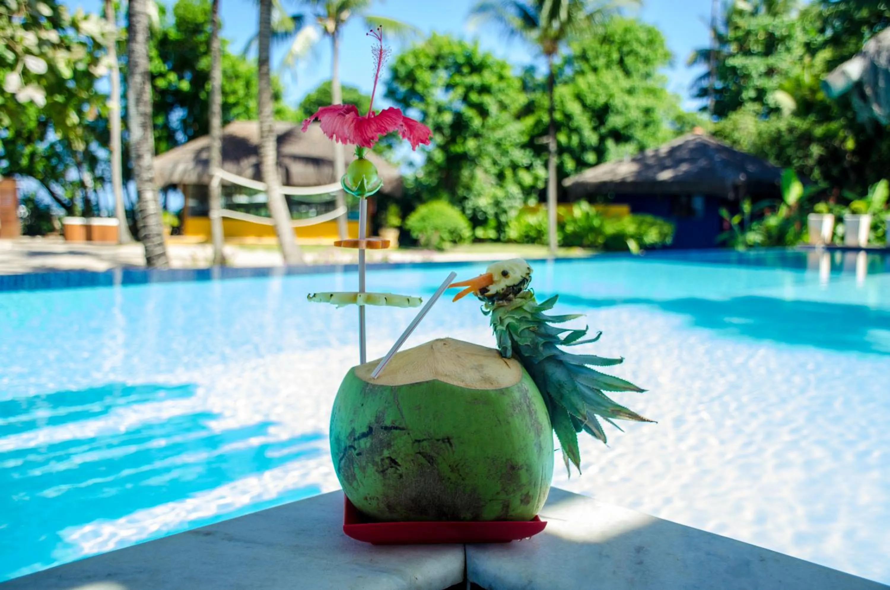 Swimming pool in Villa dos Corais