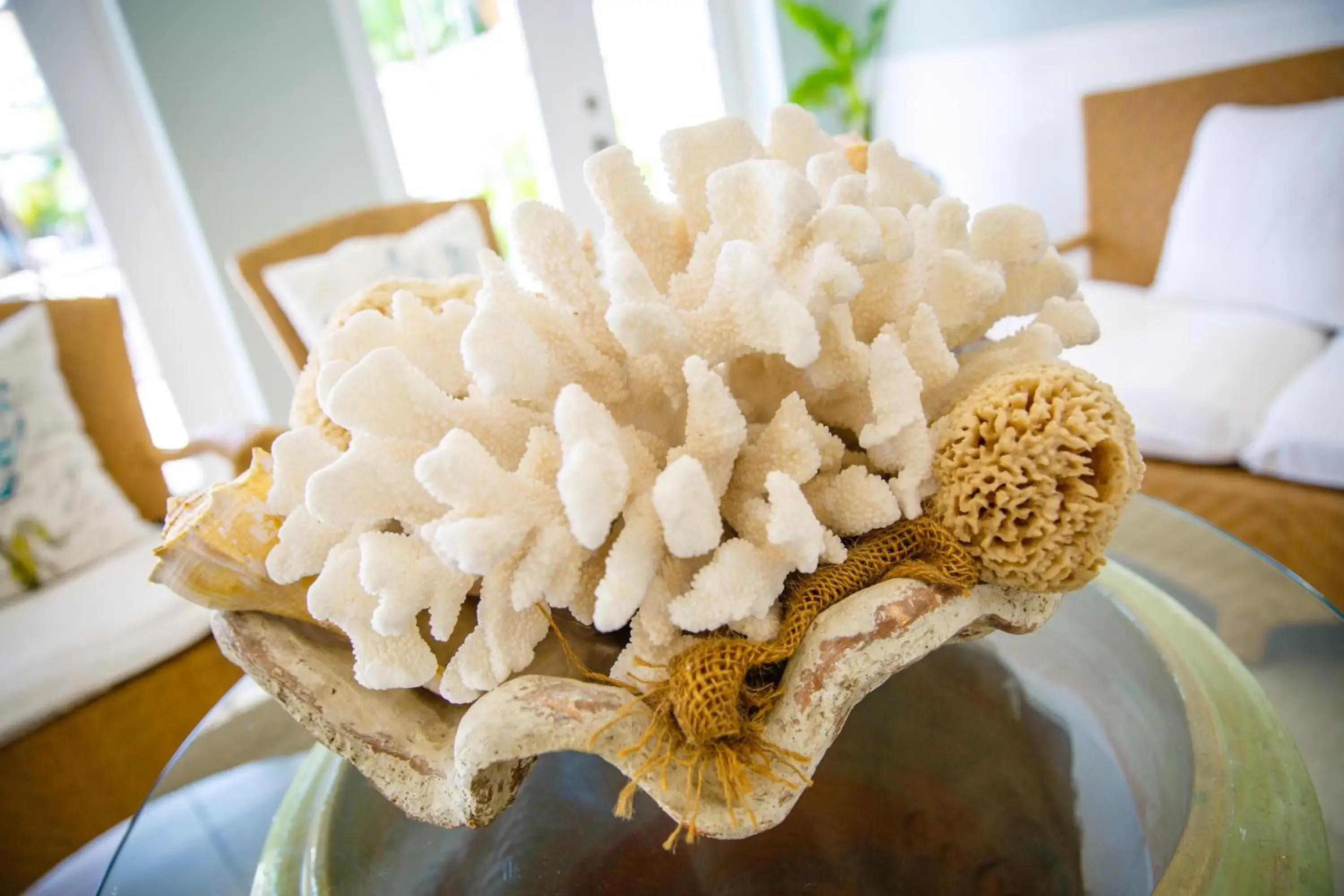 Property logo or sign in Naples Garden Inn Property logo or sign in Naples Garden Inn