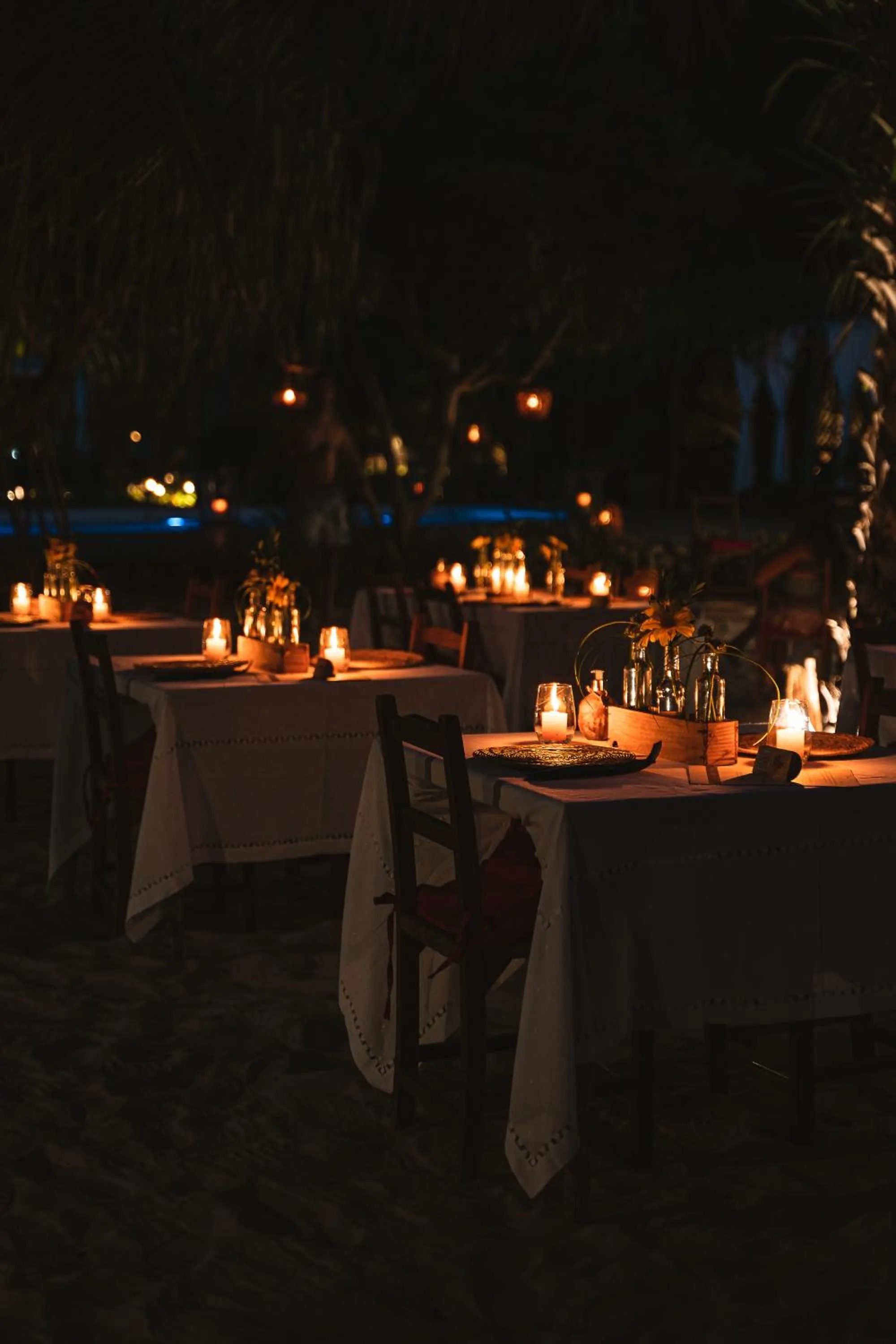 Dinner in Rancho Do Peixe