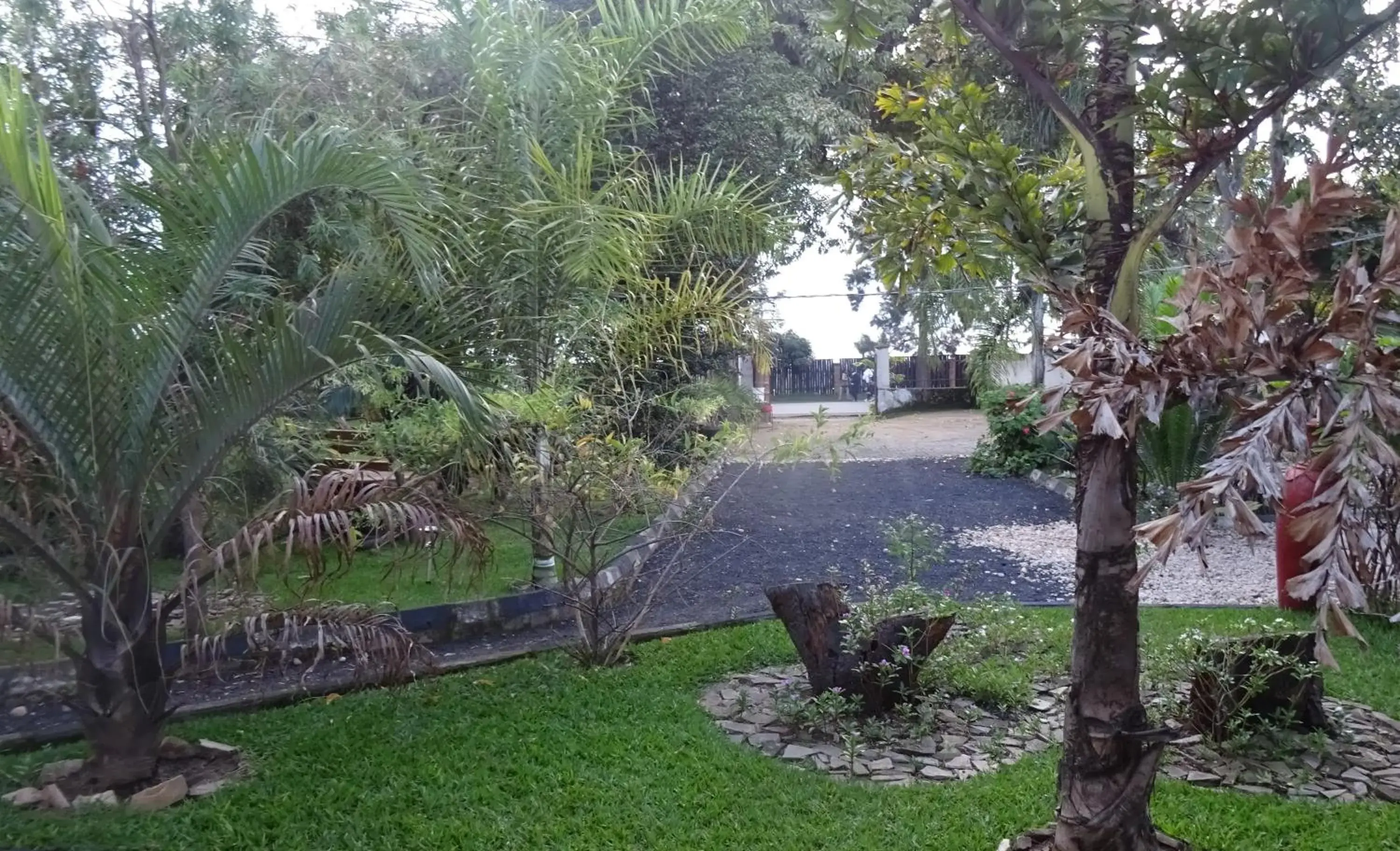Lake view in Kivu Beach Garden Lake view in Kivu Beach Garden