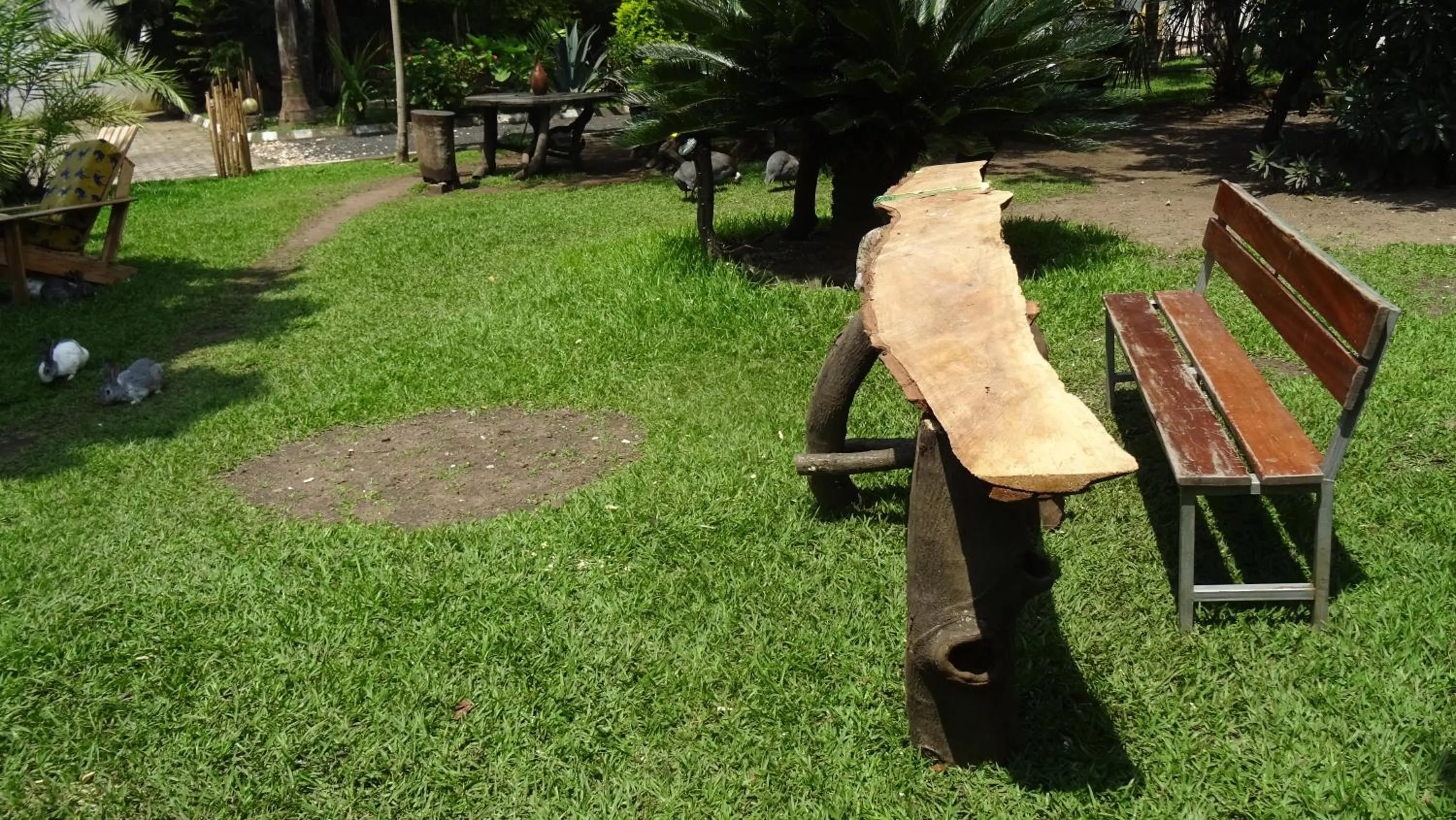 Garden in Kivu Beach Garden