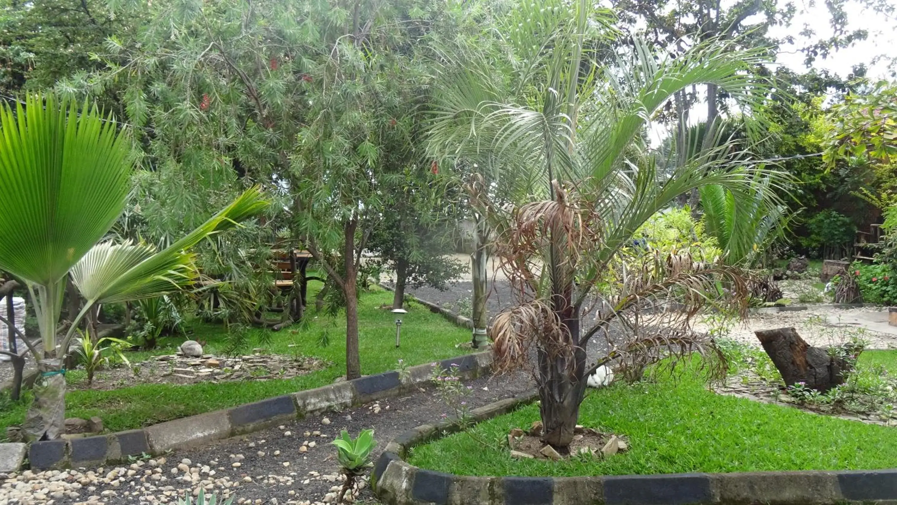 Garden view in Kivu Beach Garden Garden view in Kivu Beach Garden