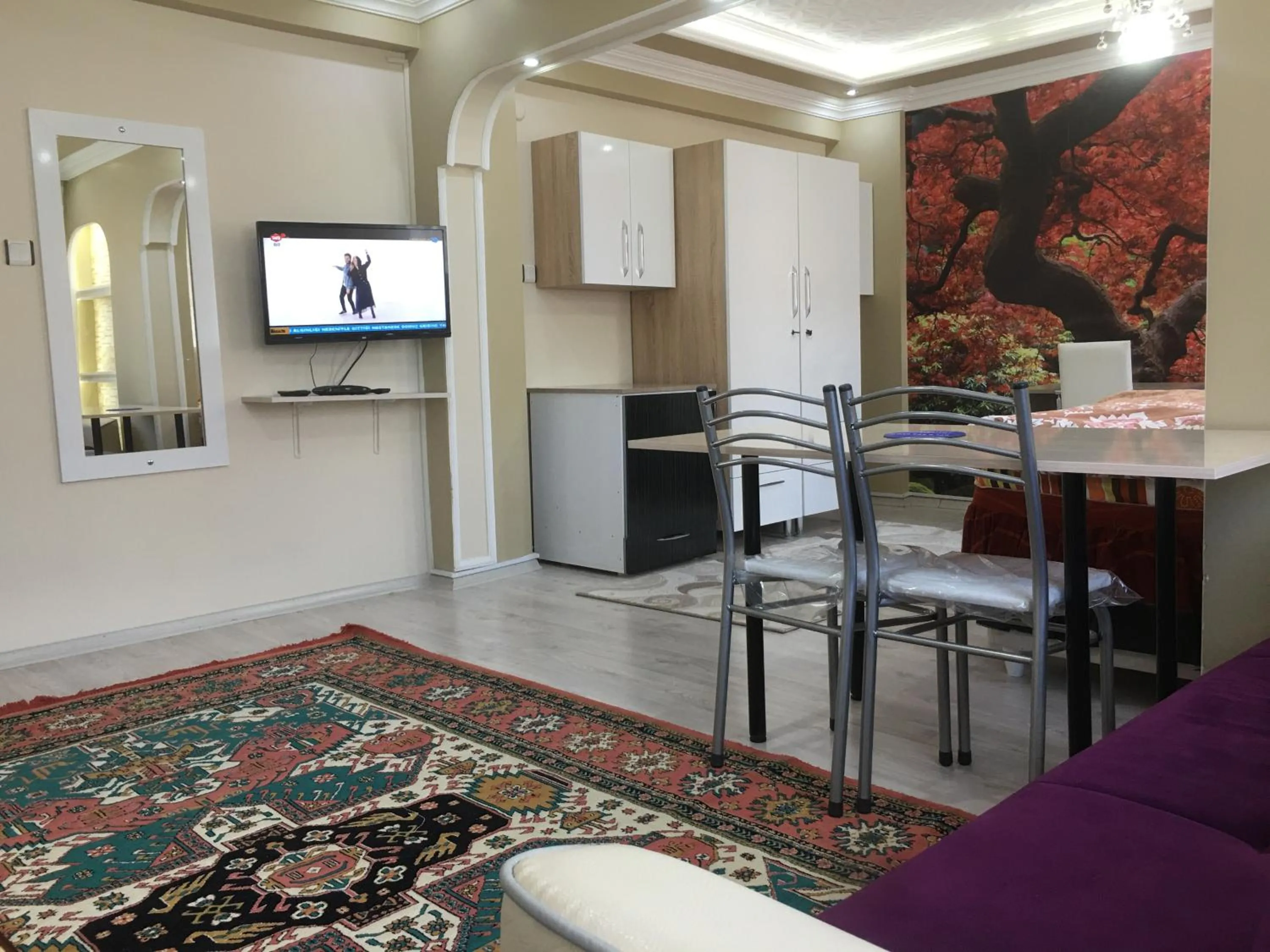 TV and multimedia in Bandirma Saglik Apart