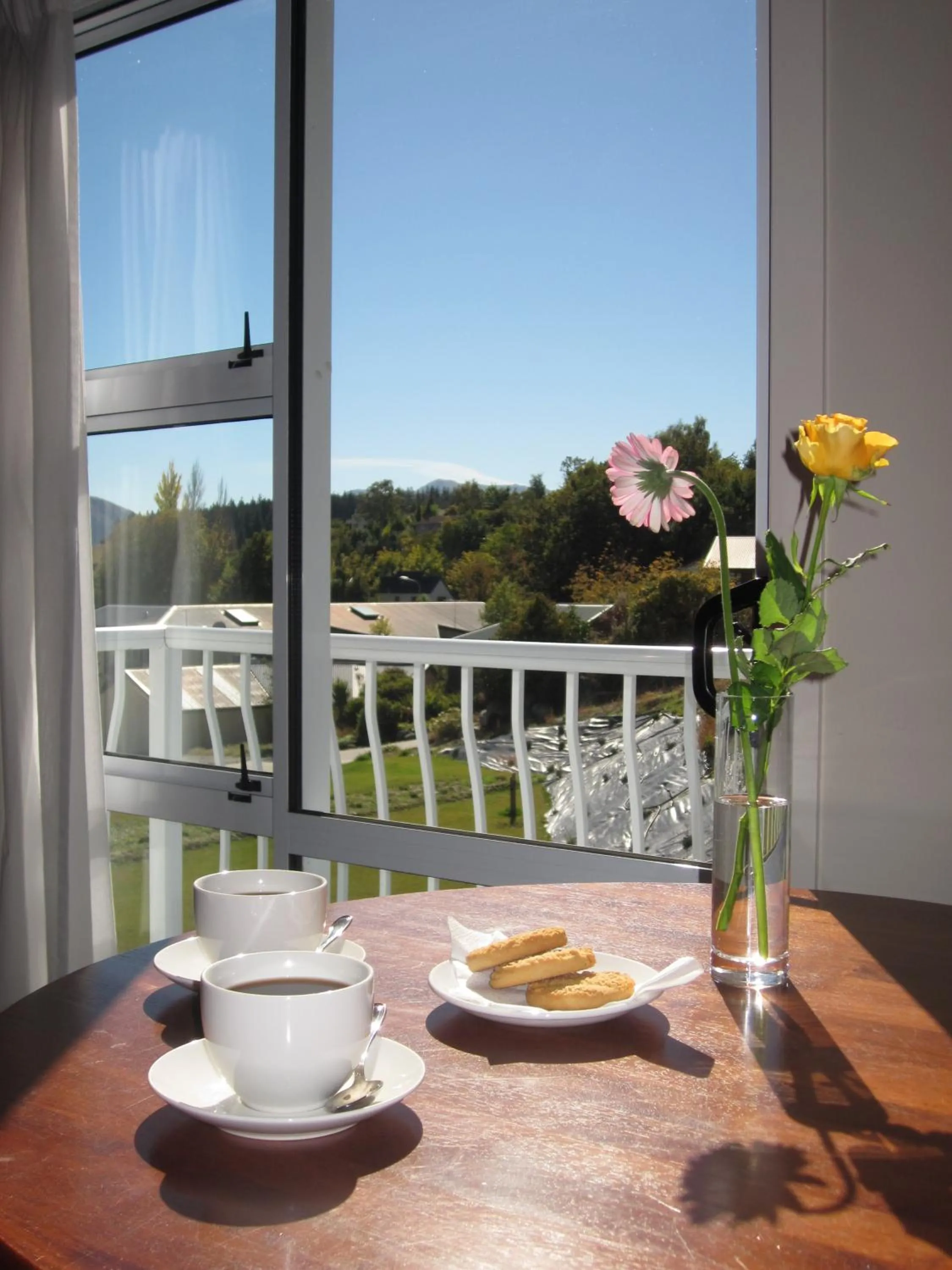 Garden view in Lake Wanaka Lodge