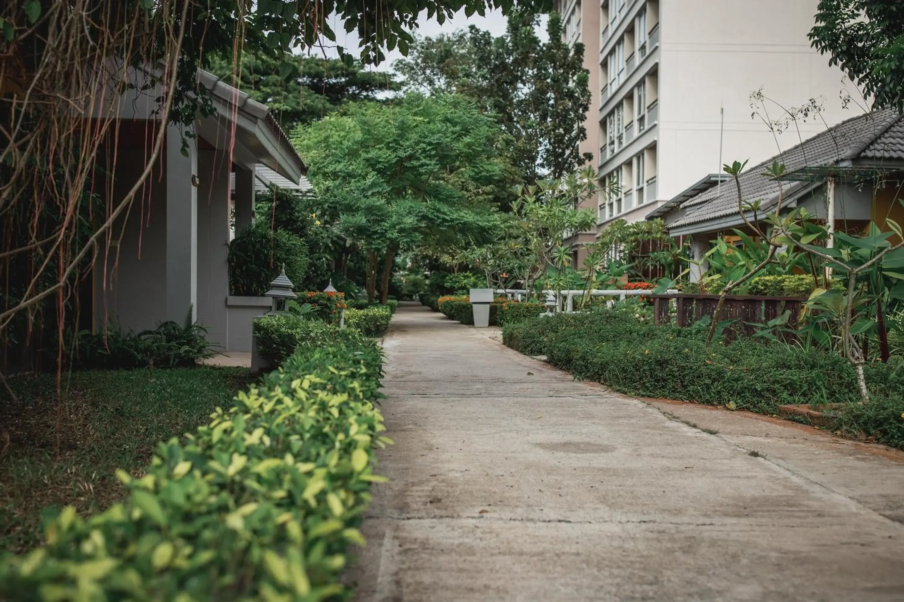 Garden, Property Building in Eastiny Resort & Spa