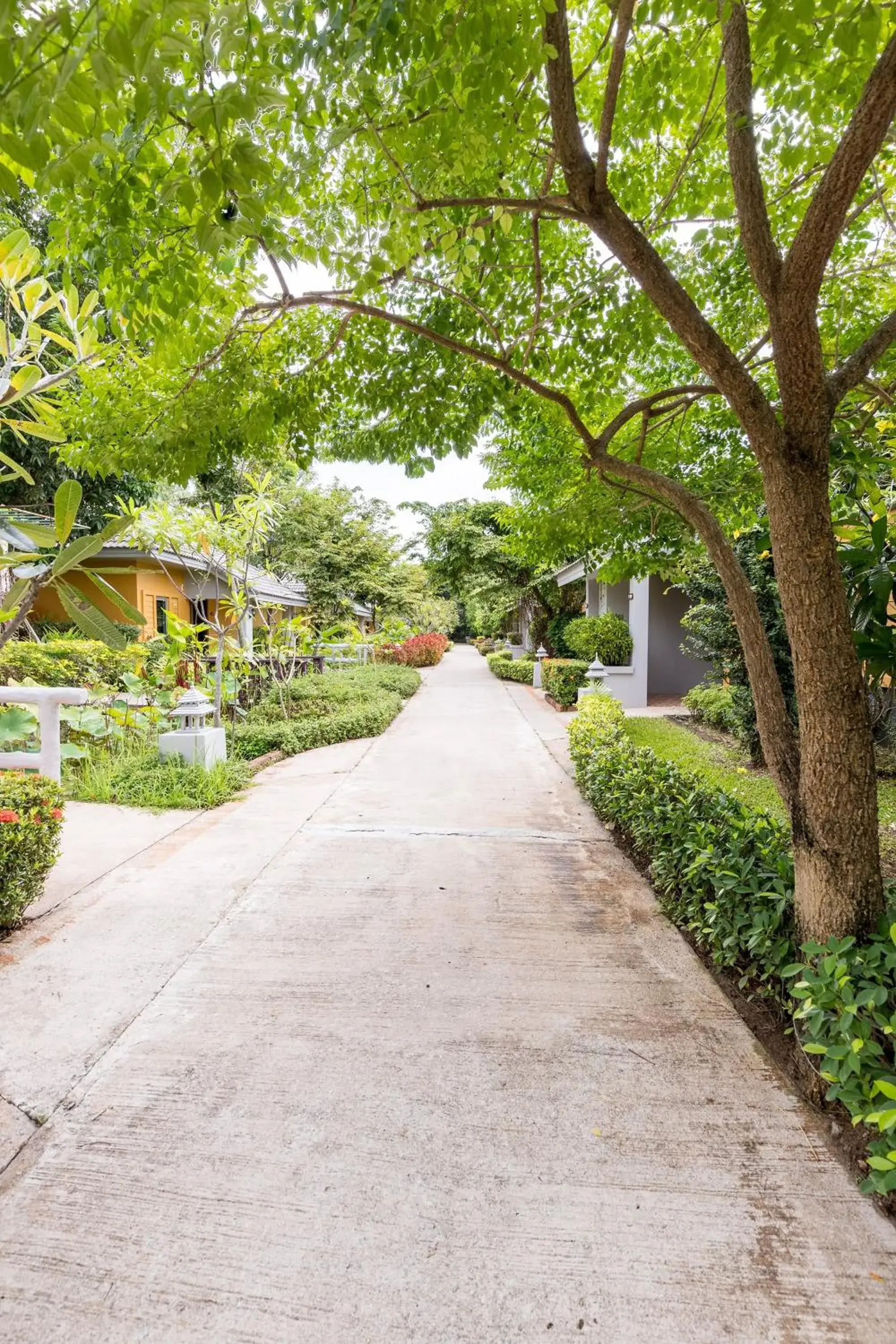 Garden in Eastiny Resort & Spa