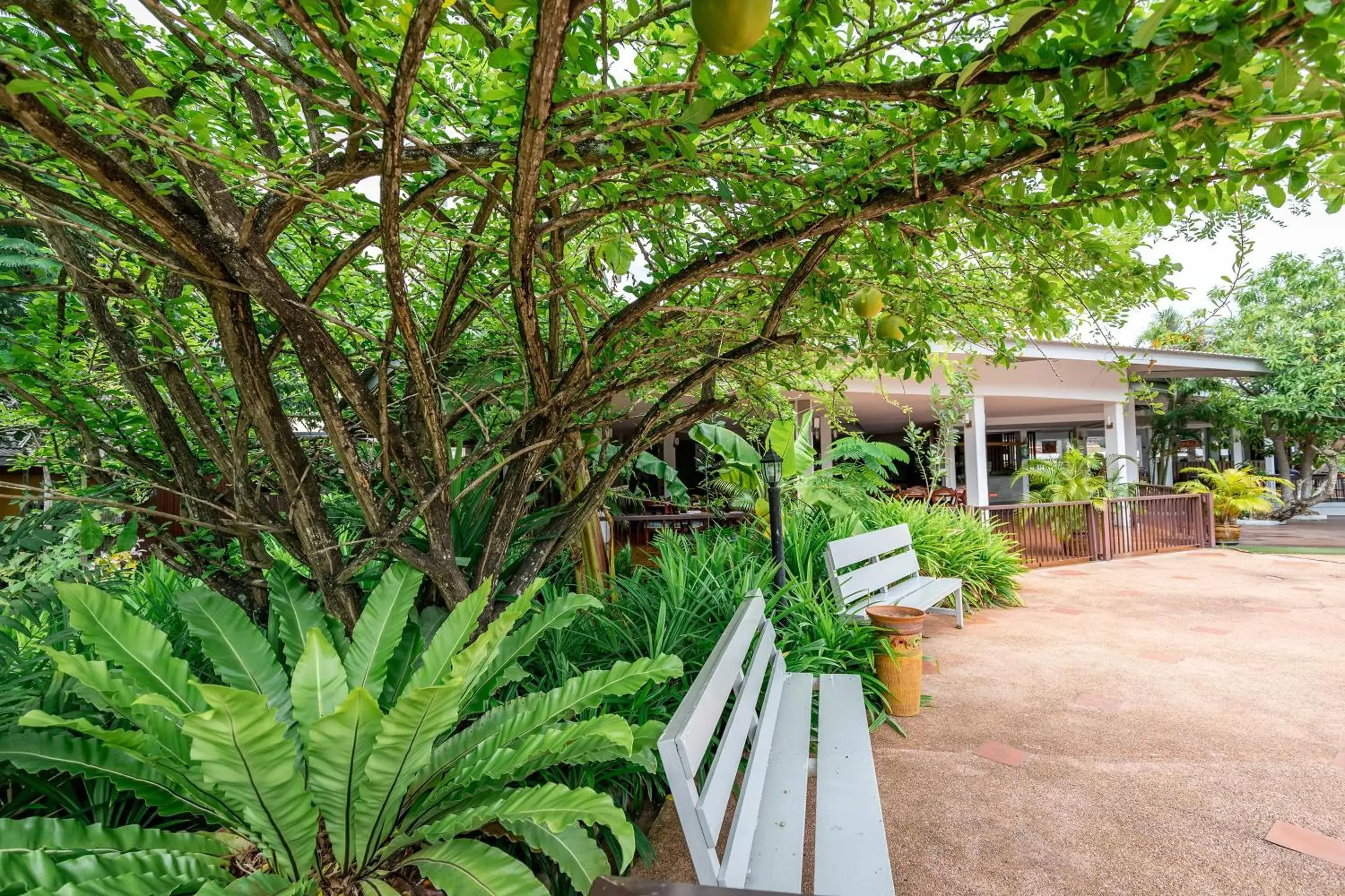 Garden in Eastiny Resort & Spa