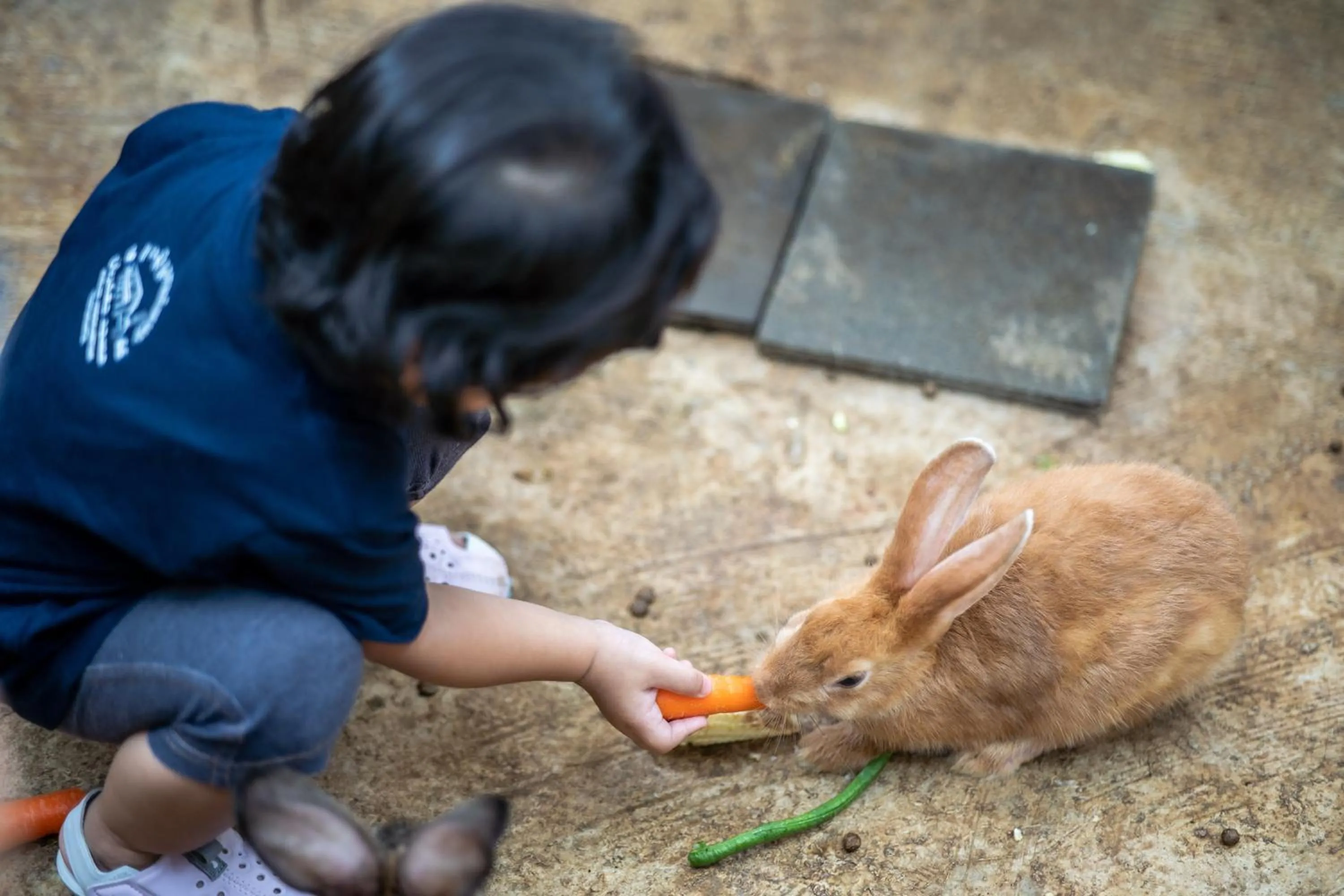 Novotel Bogor Golf Resort