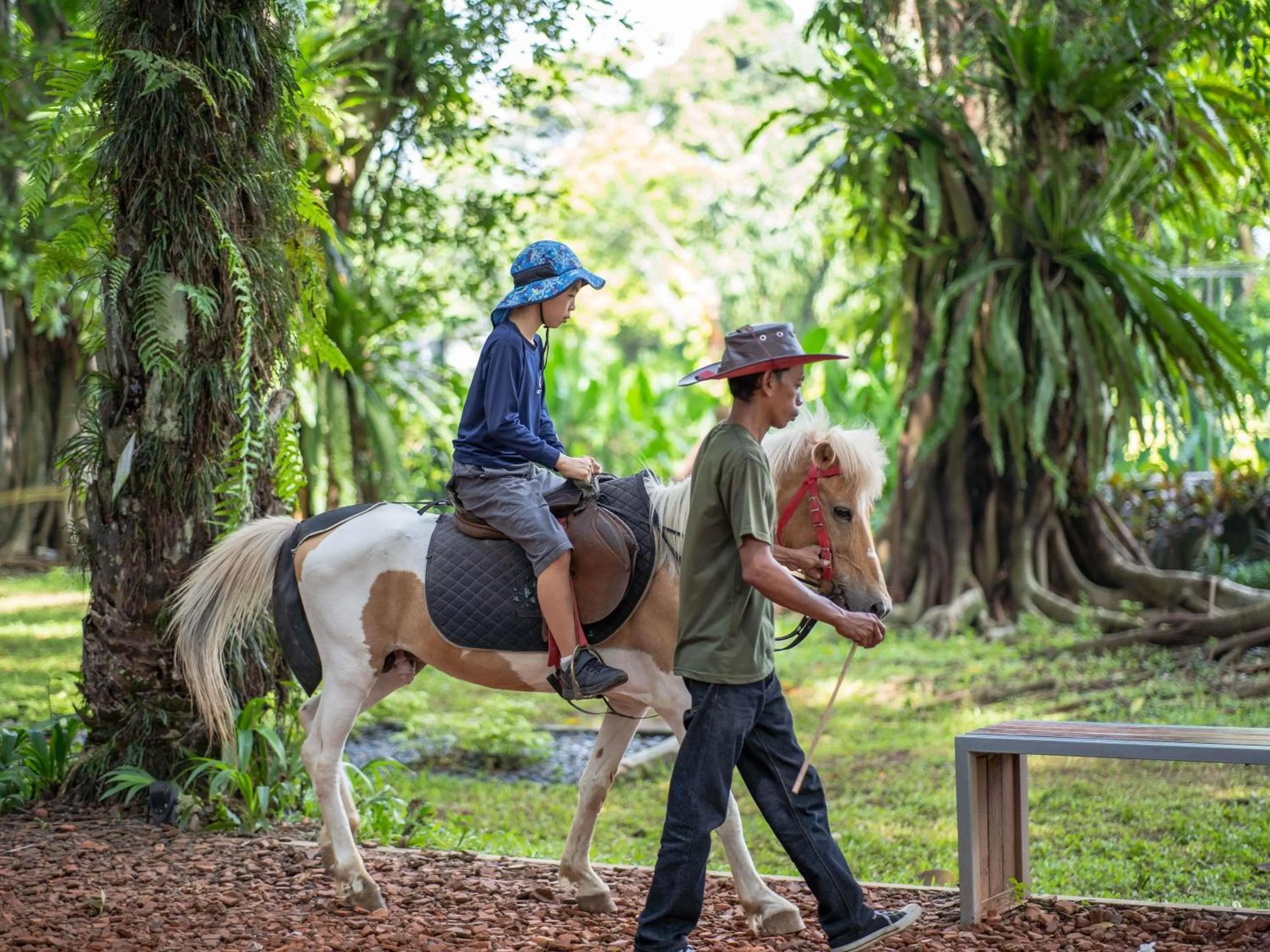 Other in Novotel Bogor Golf Resort