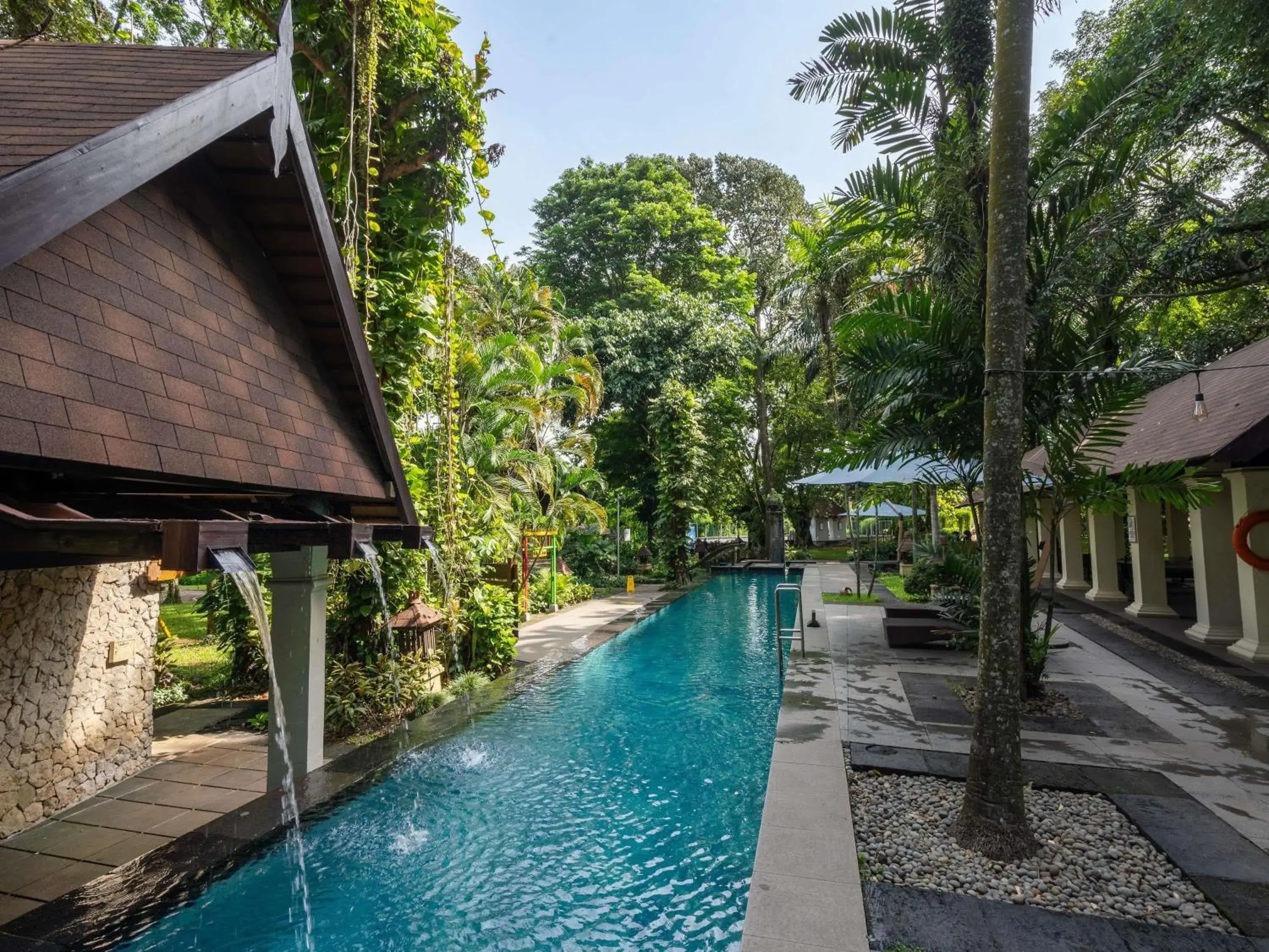 Pool view in Novotel Bogor Golf Resort Pool view in Novotel Bogor Golf Resort