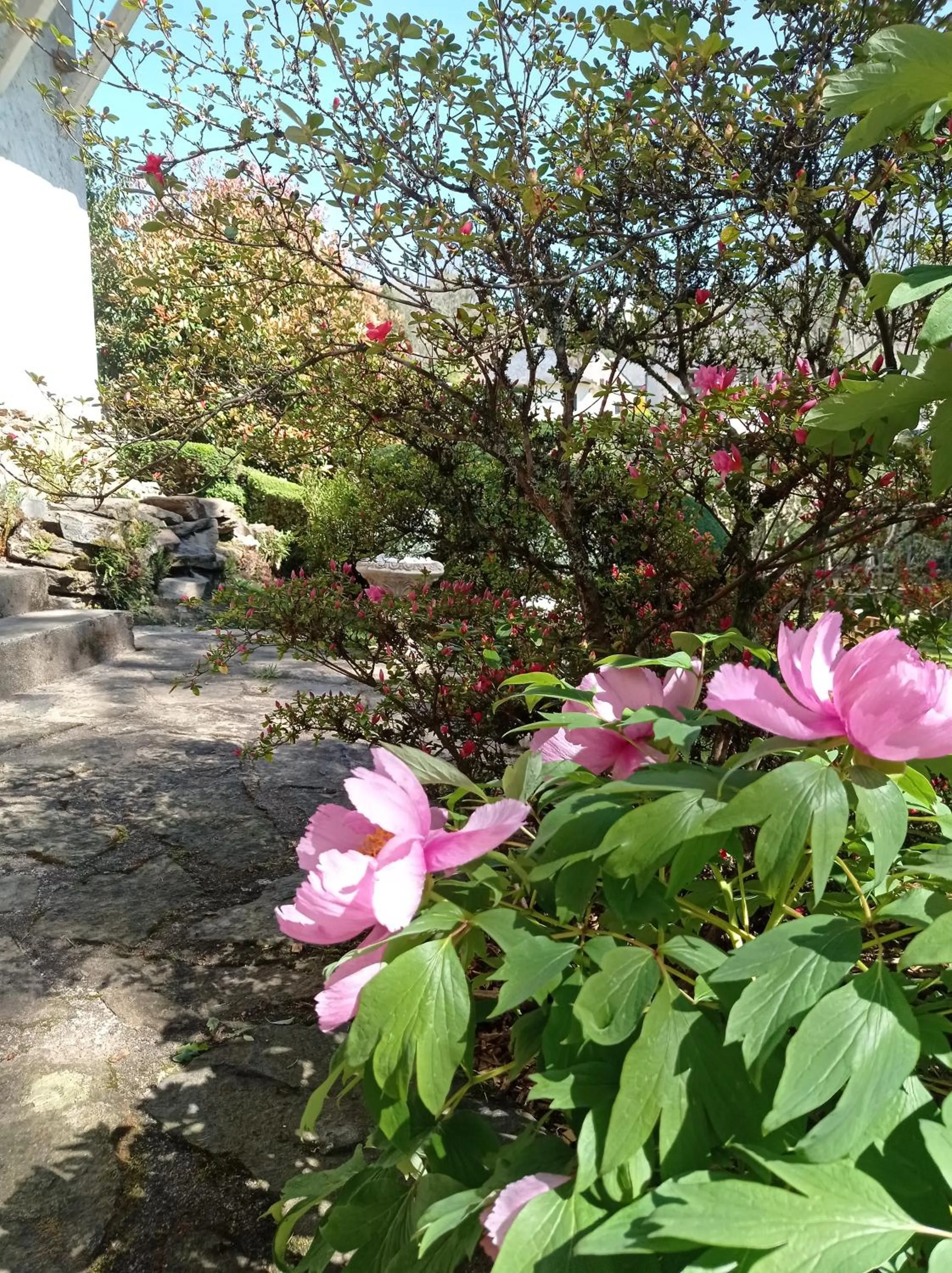 Garden view in Logis Hôtel AMBROISE