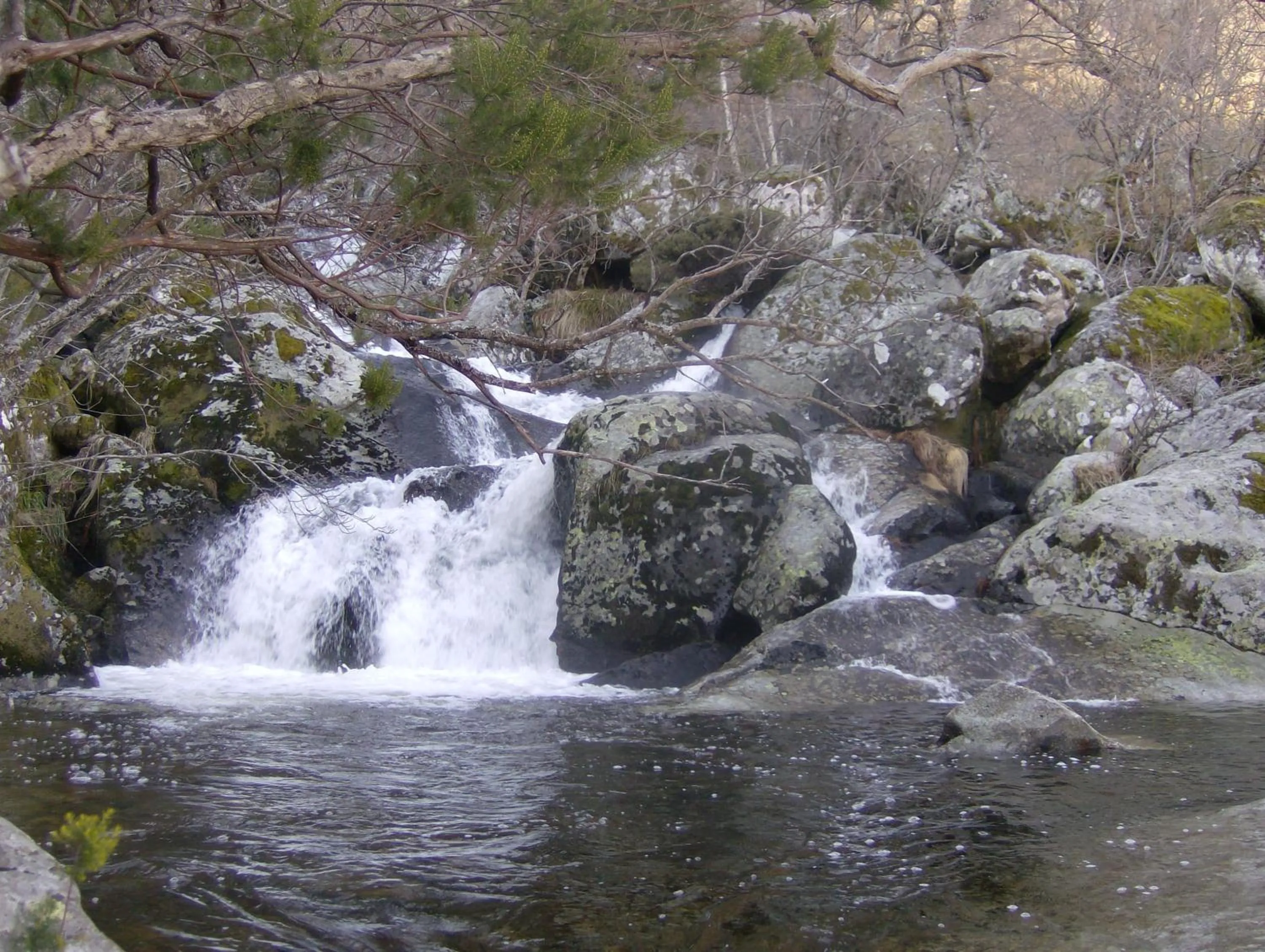 Activities in Hotel Los Perales