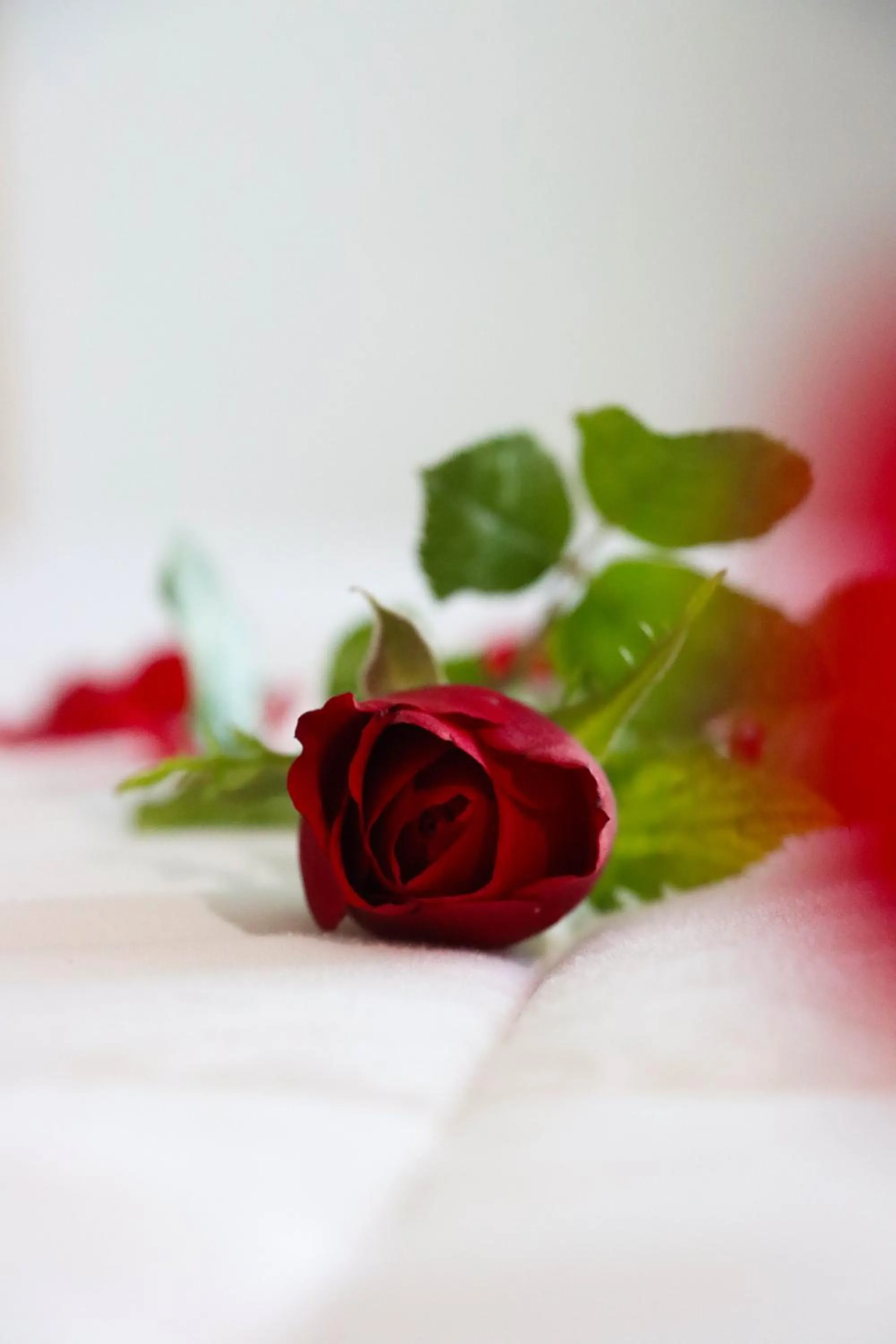 Decorative detail in Bizerta Resort Congres & SPA