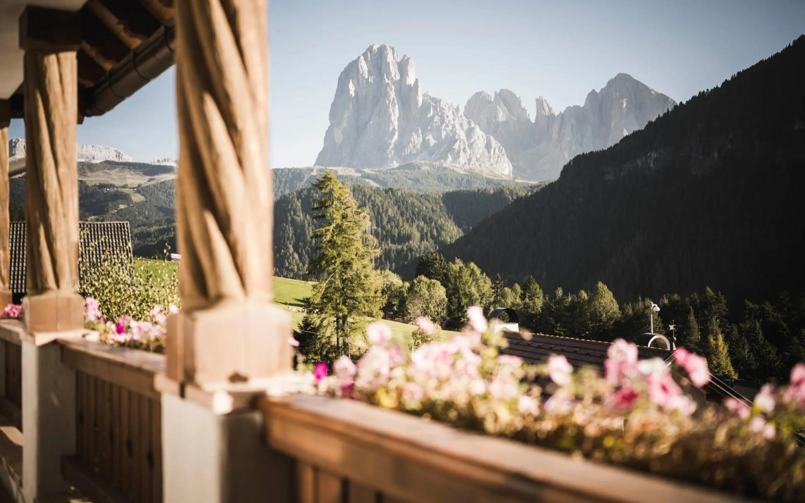 View (from property/room) in Hotel Ansitz Jakoberhof