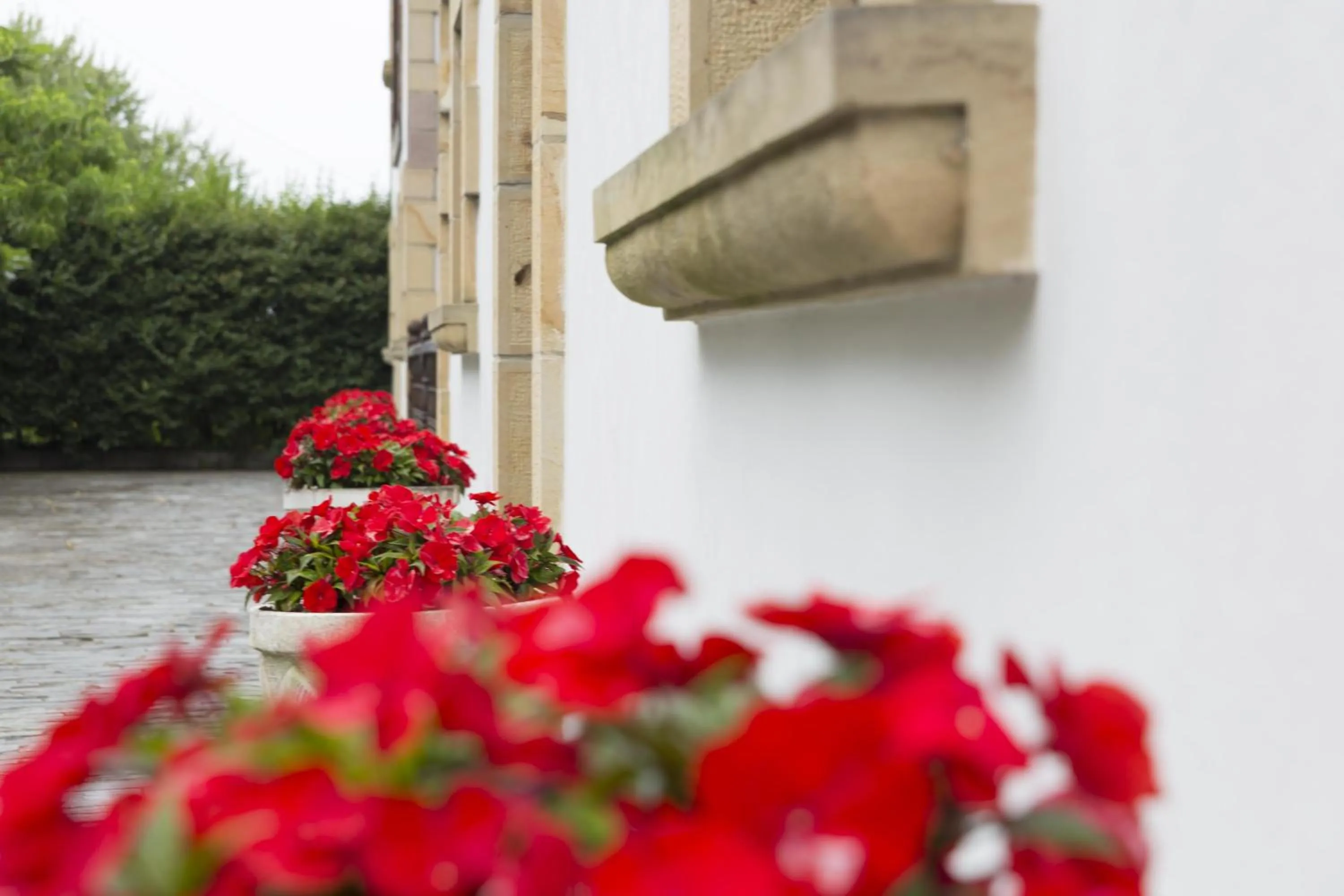 Lobby or reception in Don Pablo
