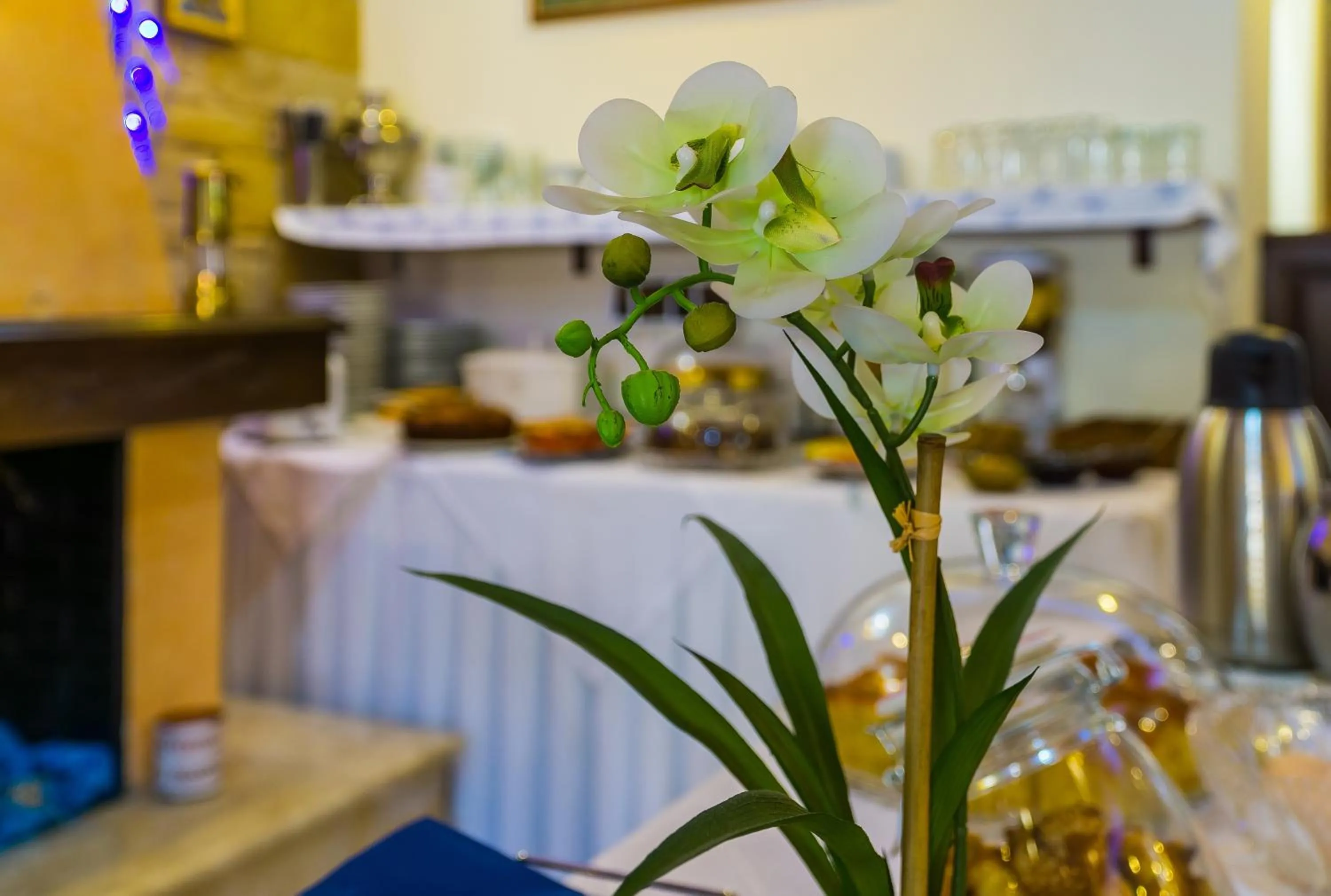 ''EPAVLIS boutique GALAXIDI''