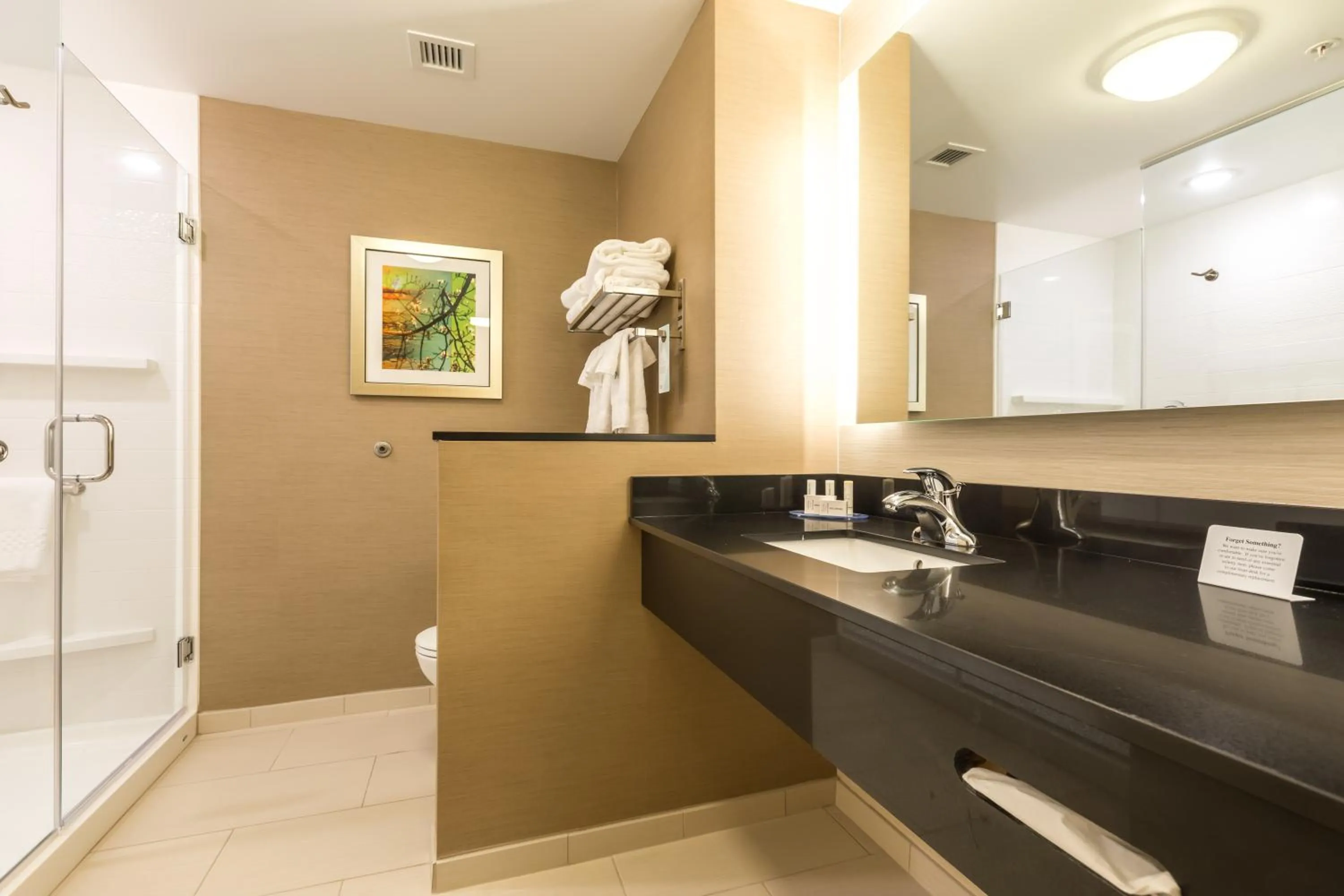 Shower in Fairfield Inn & Suites by Marriott Asheville Tunnel Road