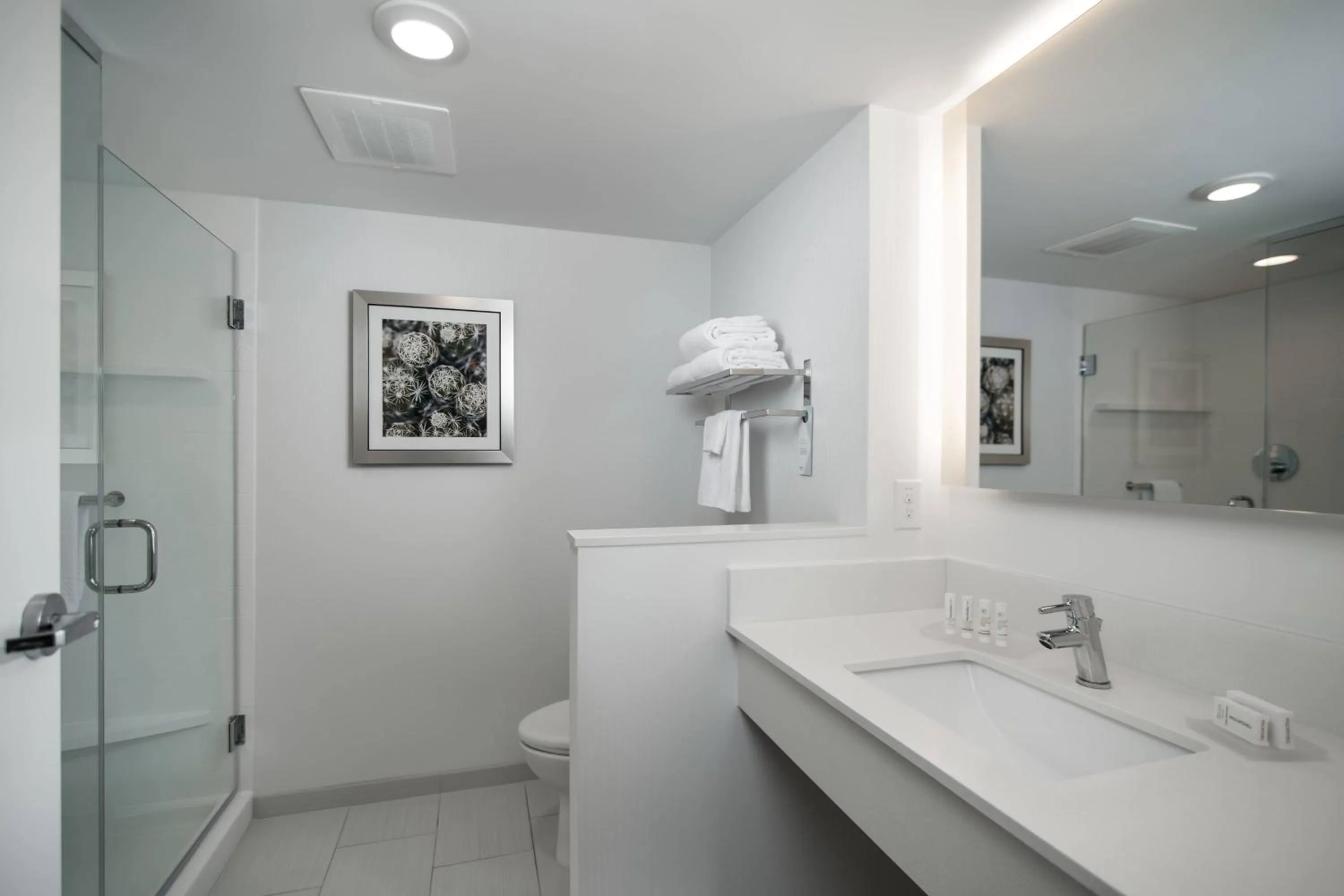 Bathroom in Fairfield Inn & Suites Fort Worth Downtown/Convention Center