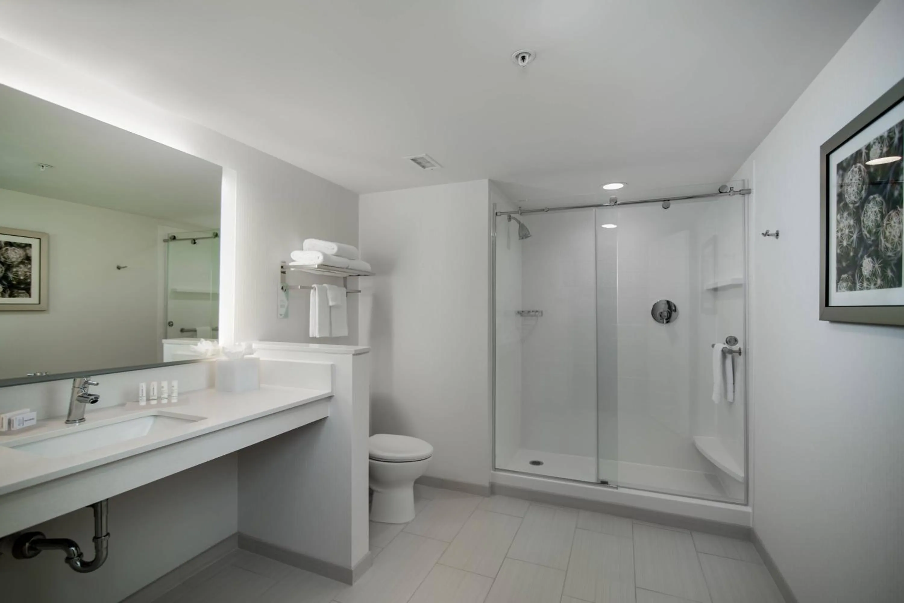 Bathroom in Fairfield Inn & Suites Fort Worth Downtown/Convention Center