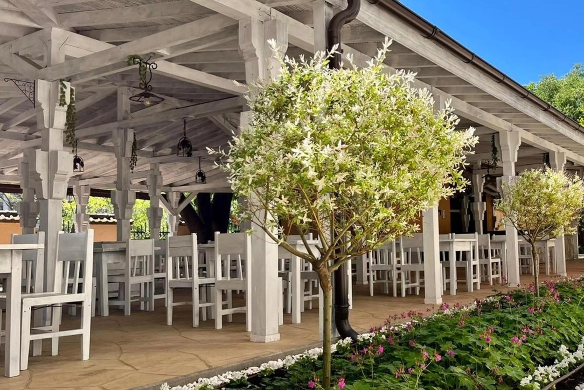 Patio in Festa Via Pontica