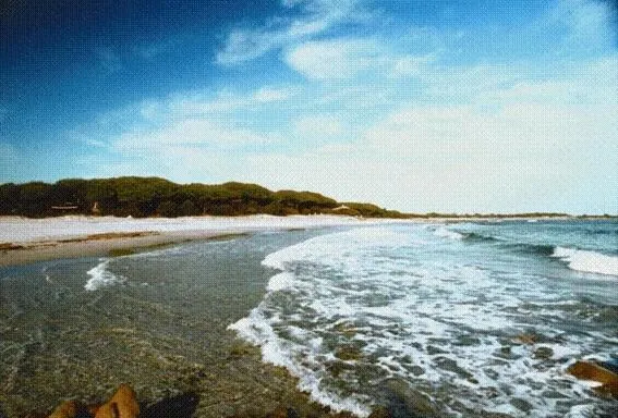 Beach in Hotel Quasar