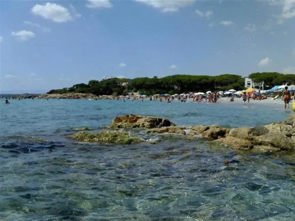 View (from property/room) in Hotel Quasar