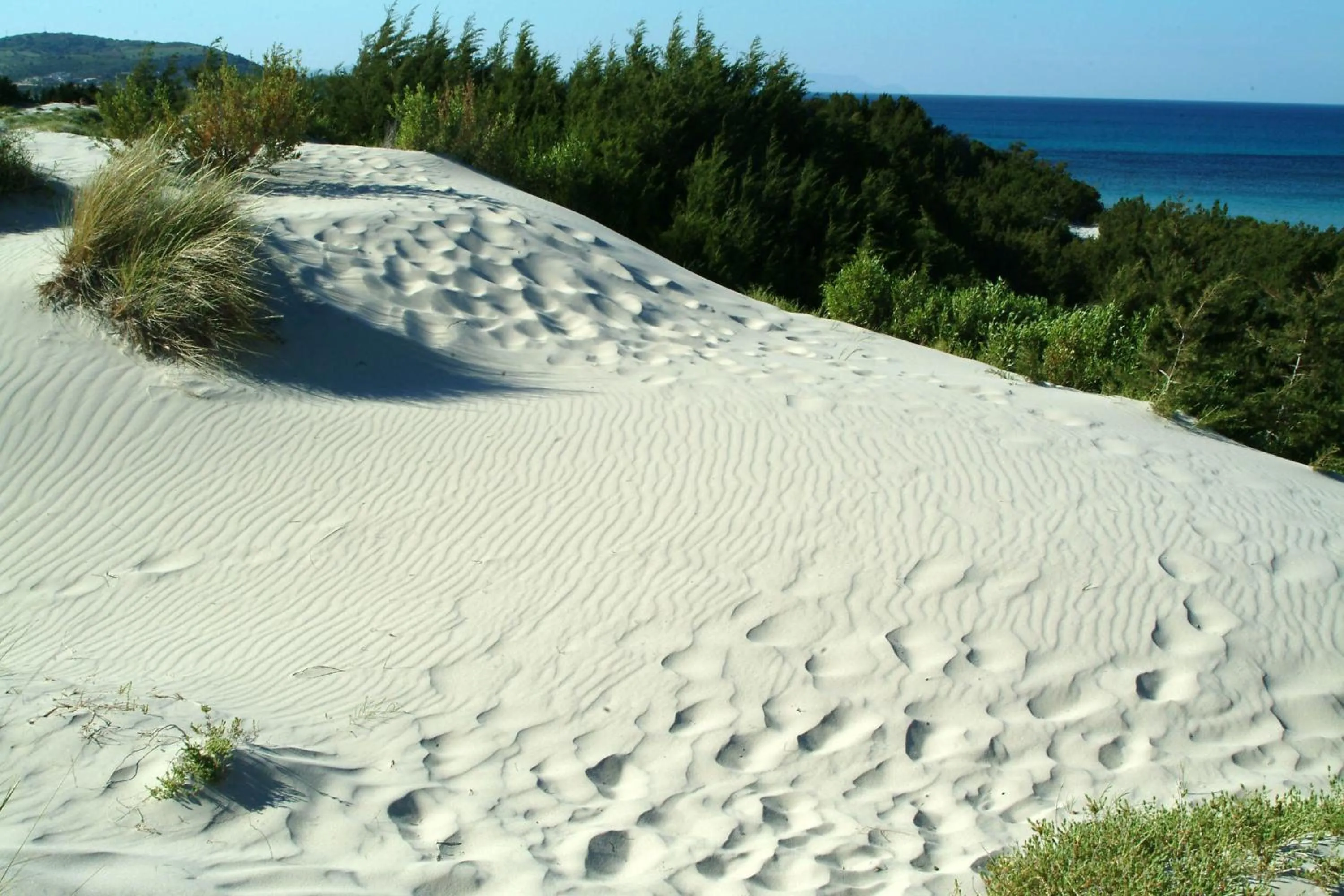 Beach in Hotel Quasar