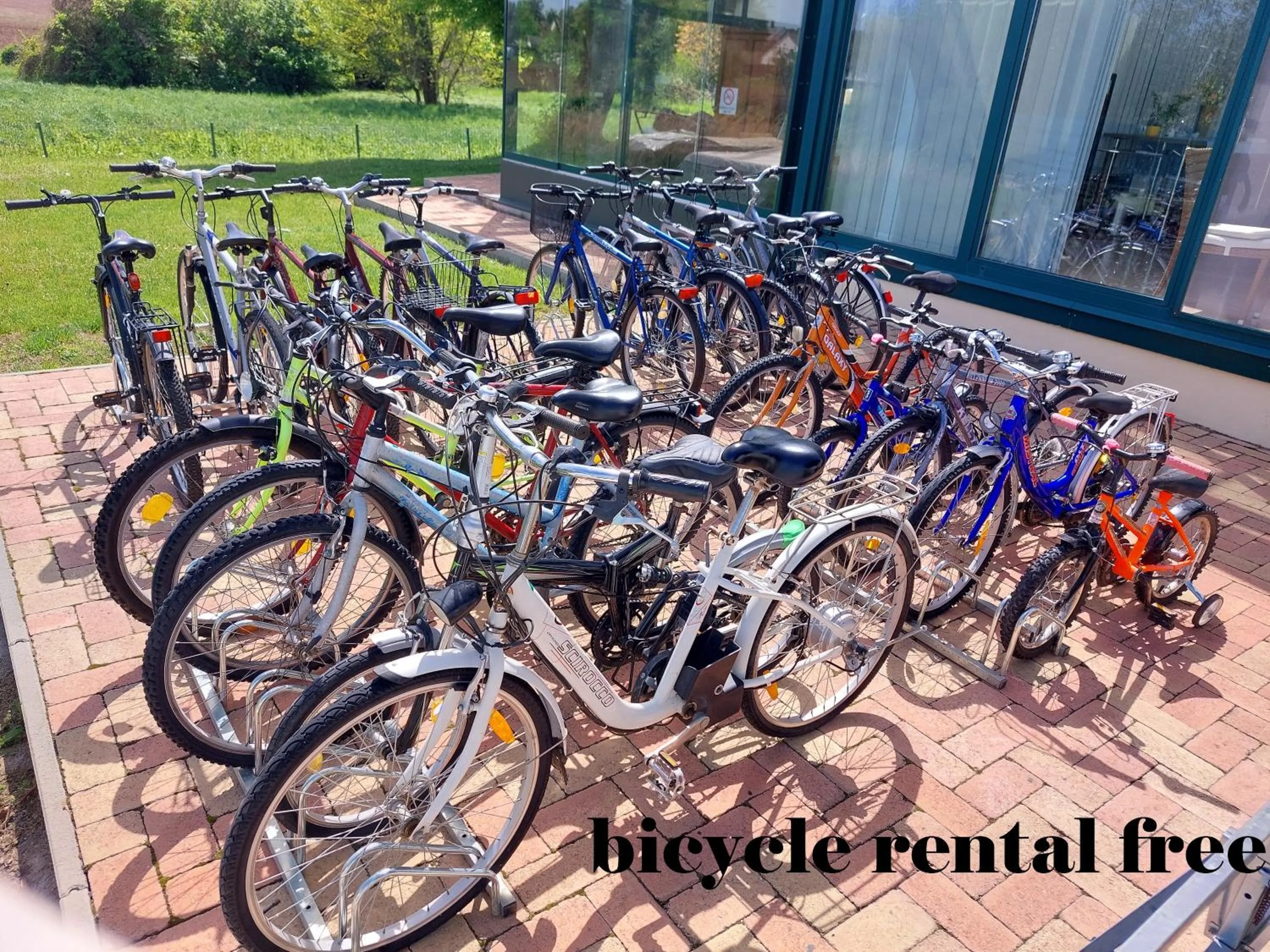 Cycling in Szárszó Panzió