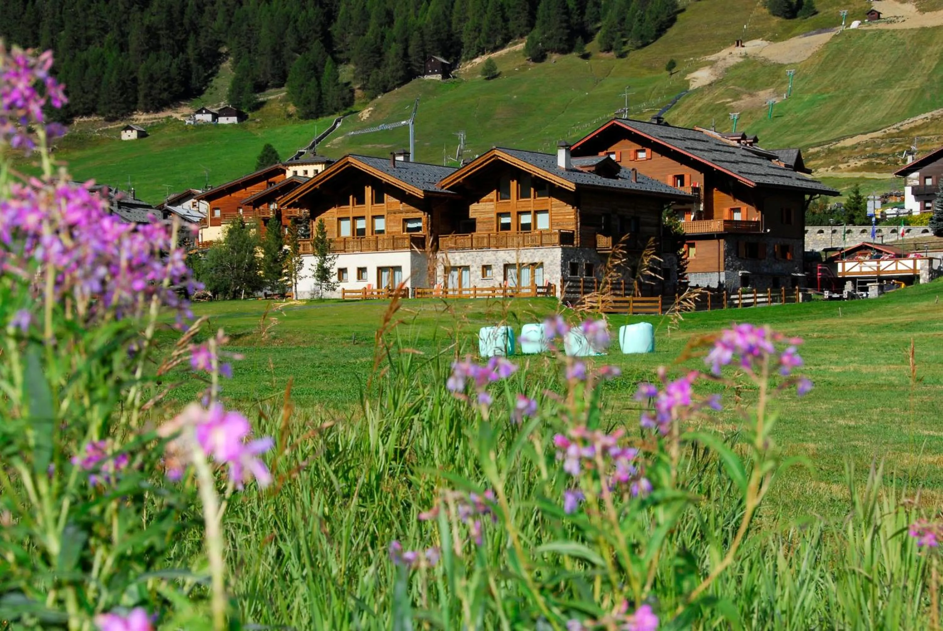 Garden in Paradise Lodge
