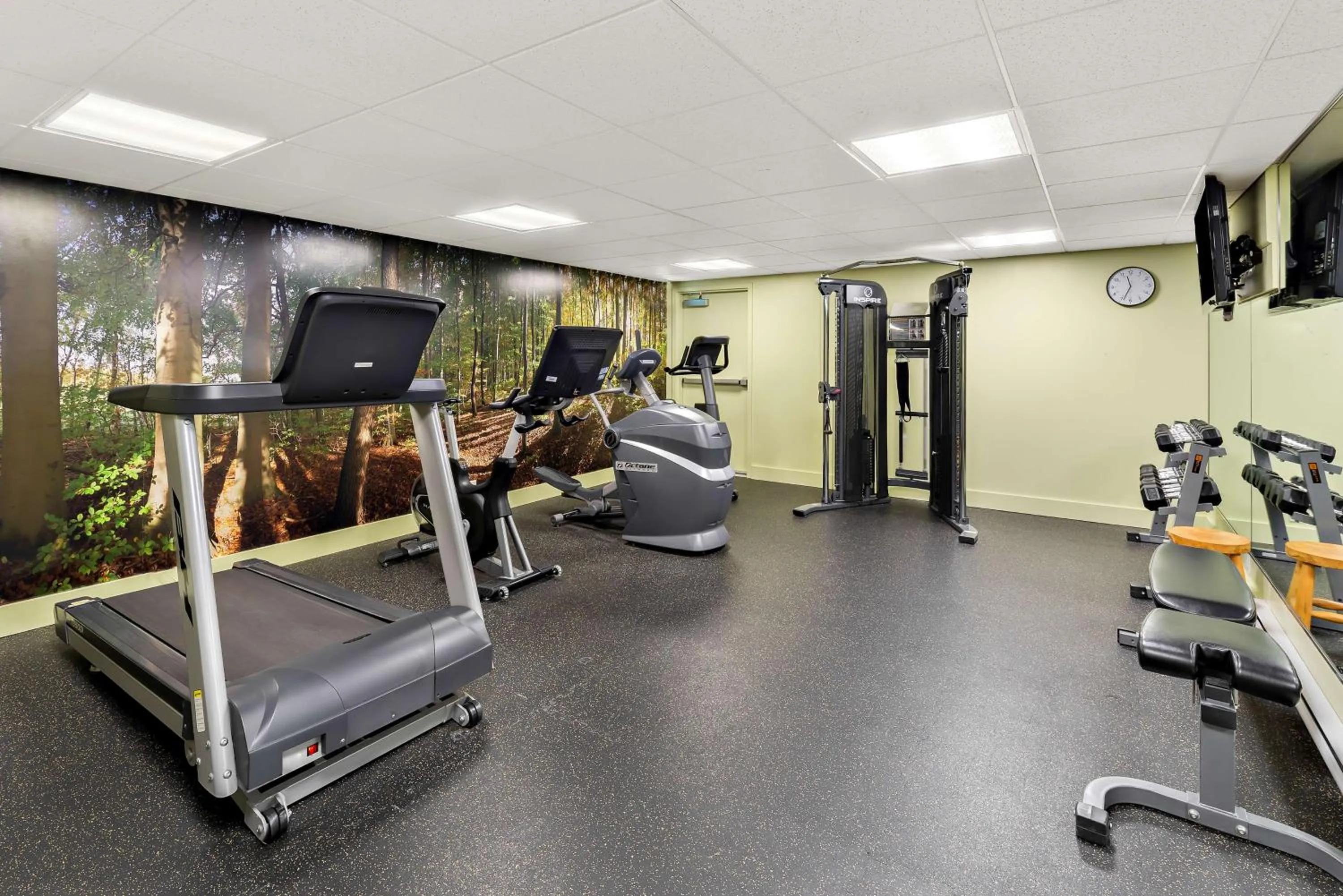 Fitness centre/facilities in Best Western PLUS Inner Harbour Hotel