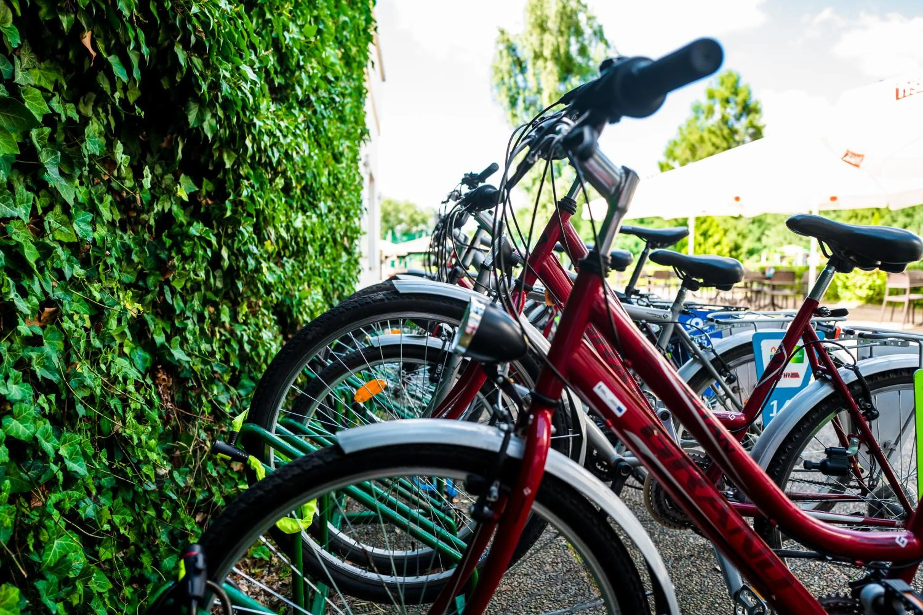 Cycling in Omega Hotel