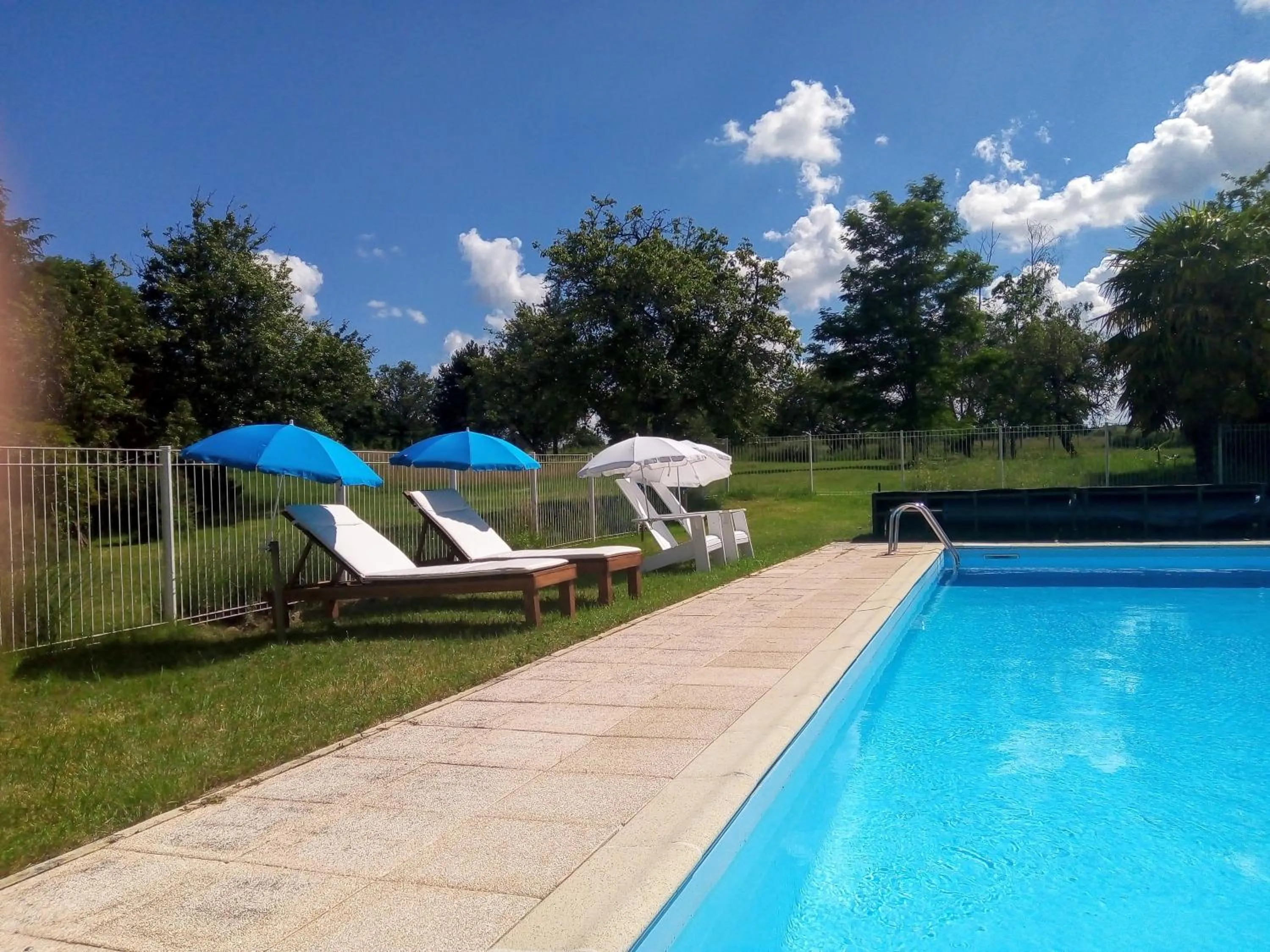 Swimming pool in Château Latour