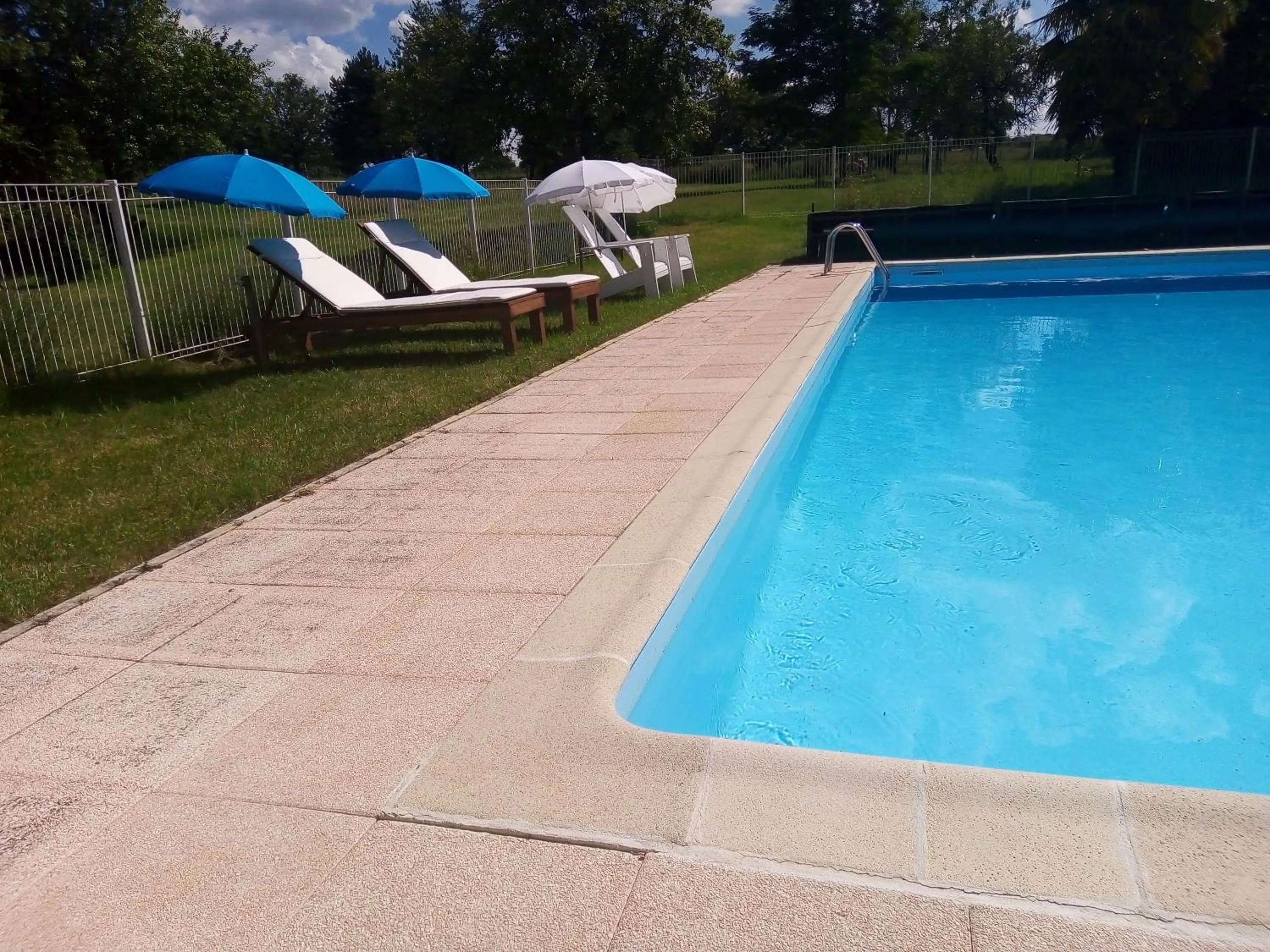 Swimming pool in Château Latour