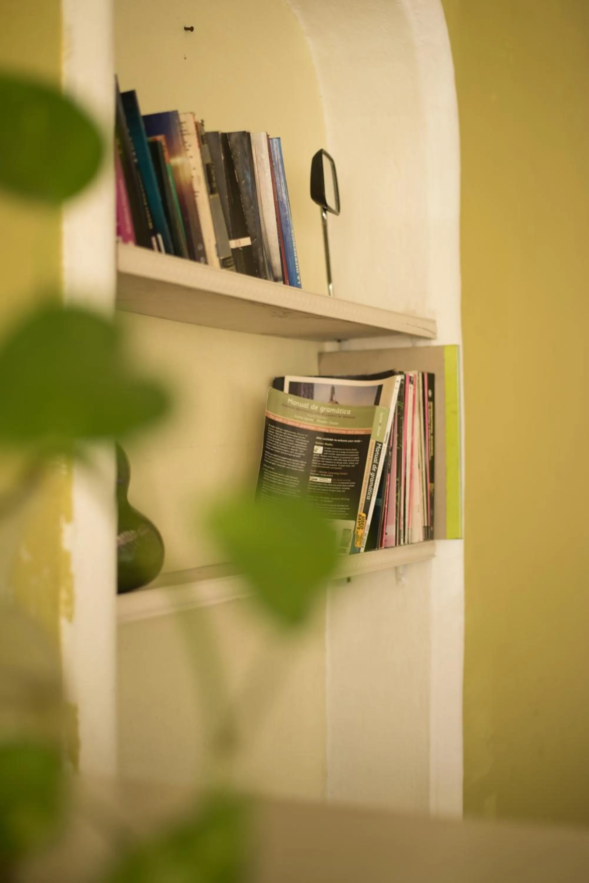 Library in Hotel Esperanza